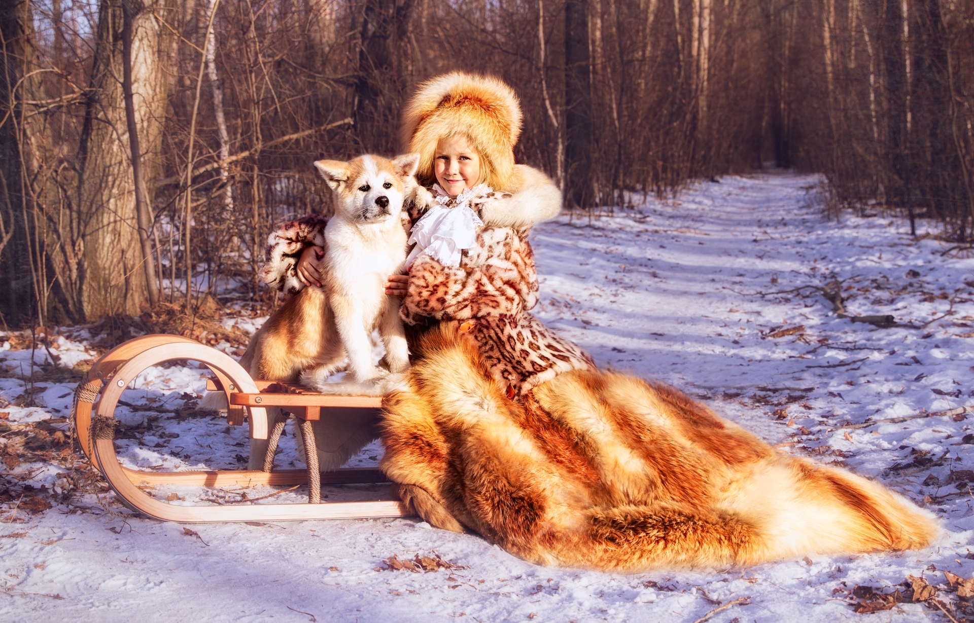 Обои зима, собака, сани, девочка, шапка, шуба, winter, dog, sleigh, girl, hat, coat разрешение 1920x1229 Загрузить