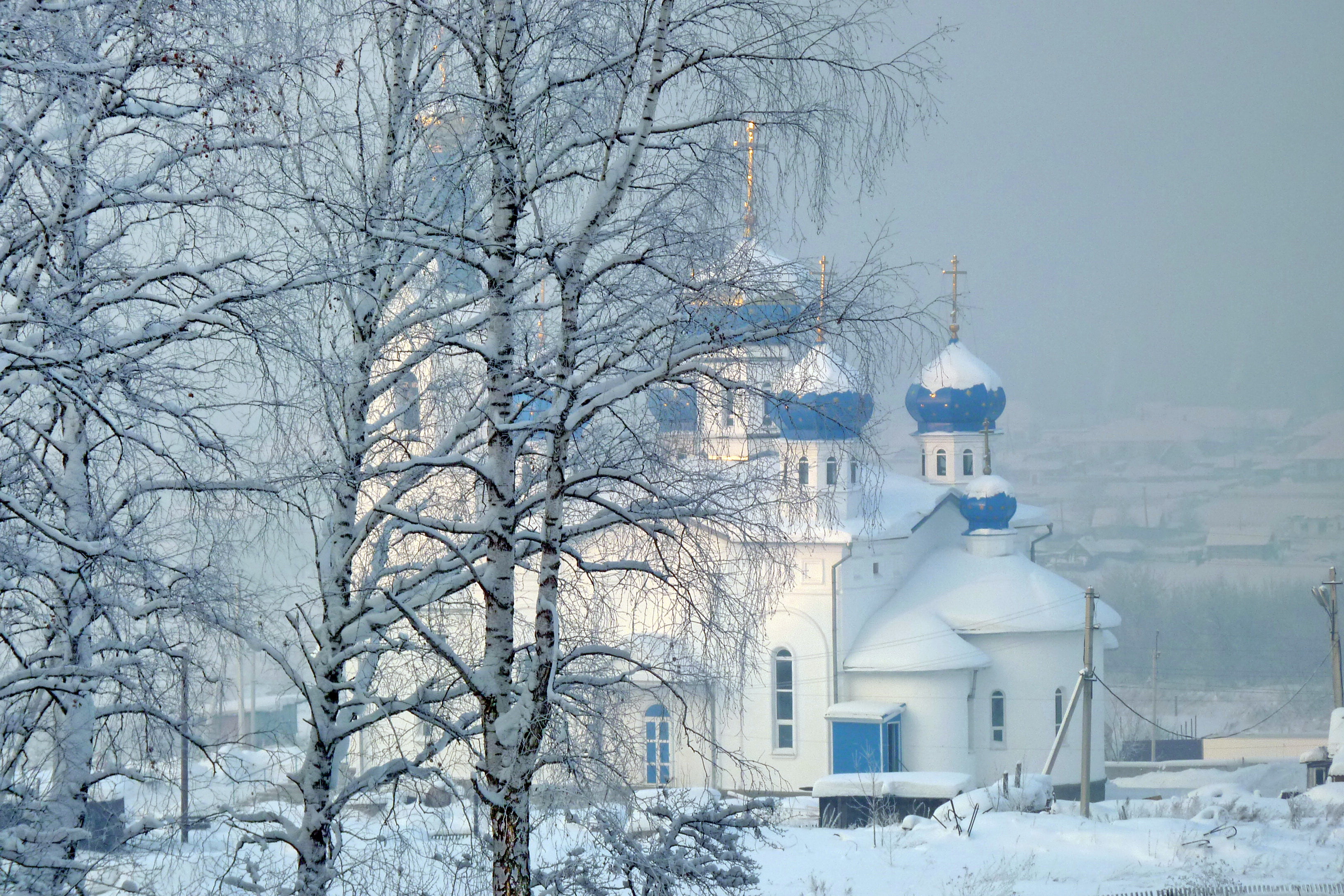 Обои деревья, снег, природа, зима, церковь, trees, snow, nature, winter, church разрешение 3264x2176 Загрузить