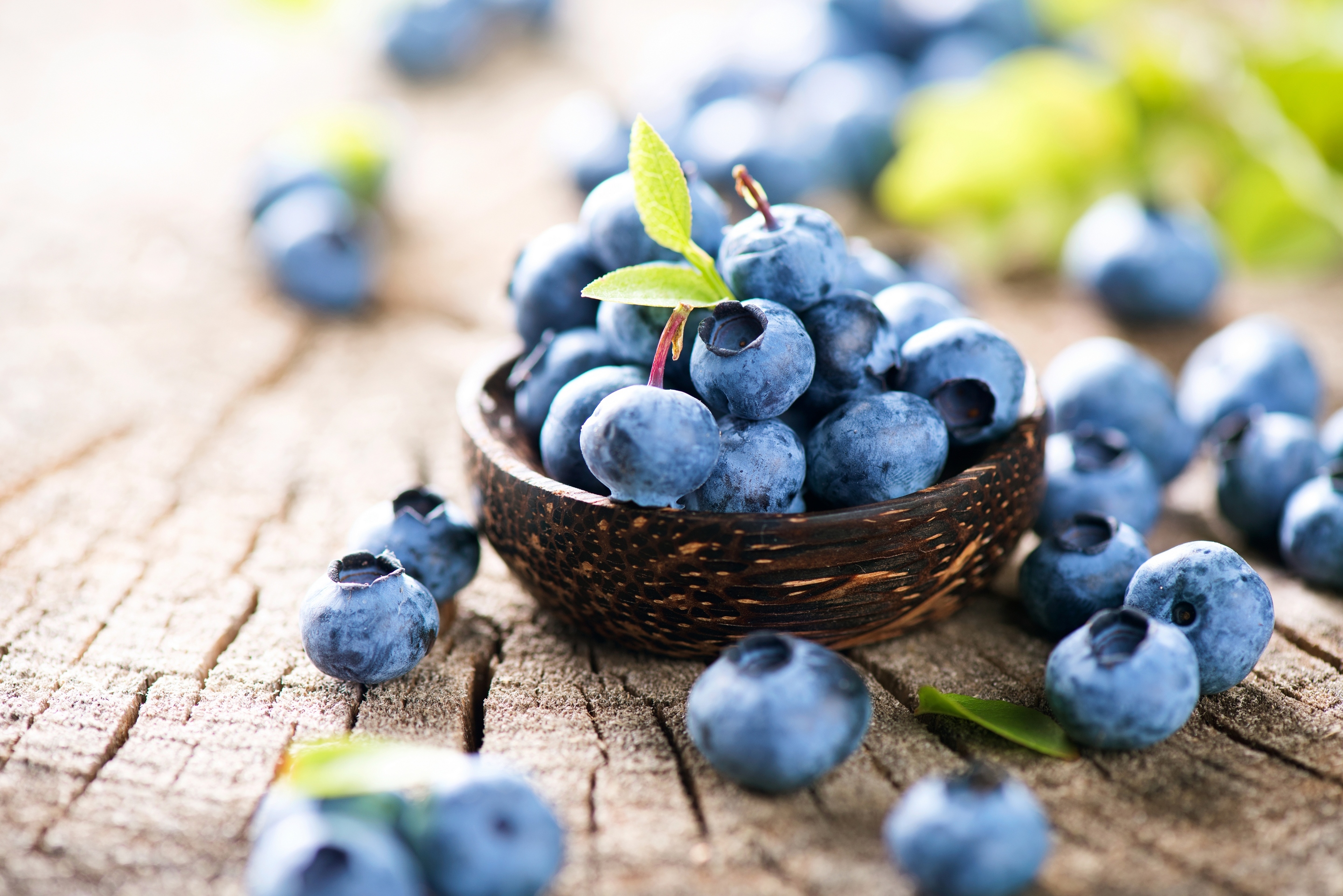 Обои ягоды, лесные ягоды, черника, парное, черничный, berries, blueberries, fresh, blueberry разрешение 2880x1922 Загрузить