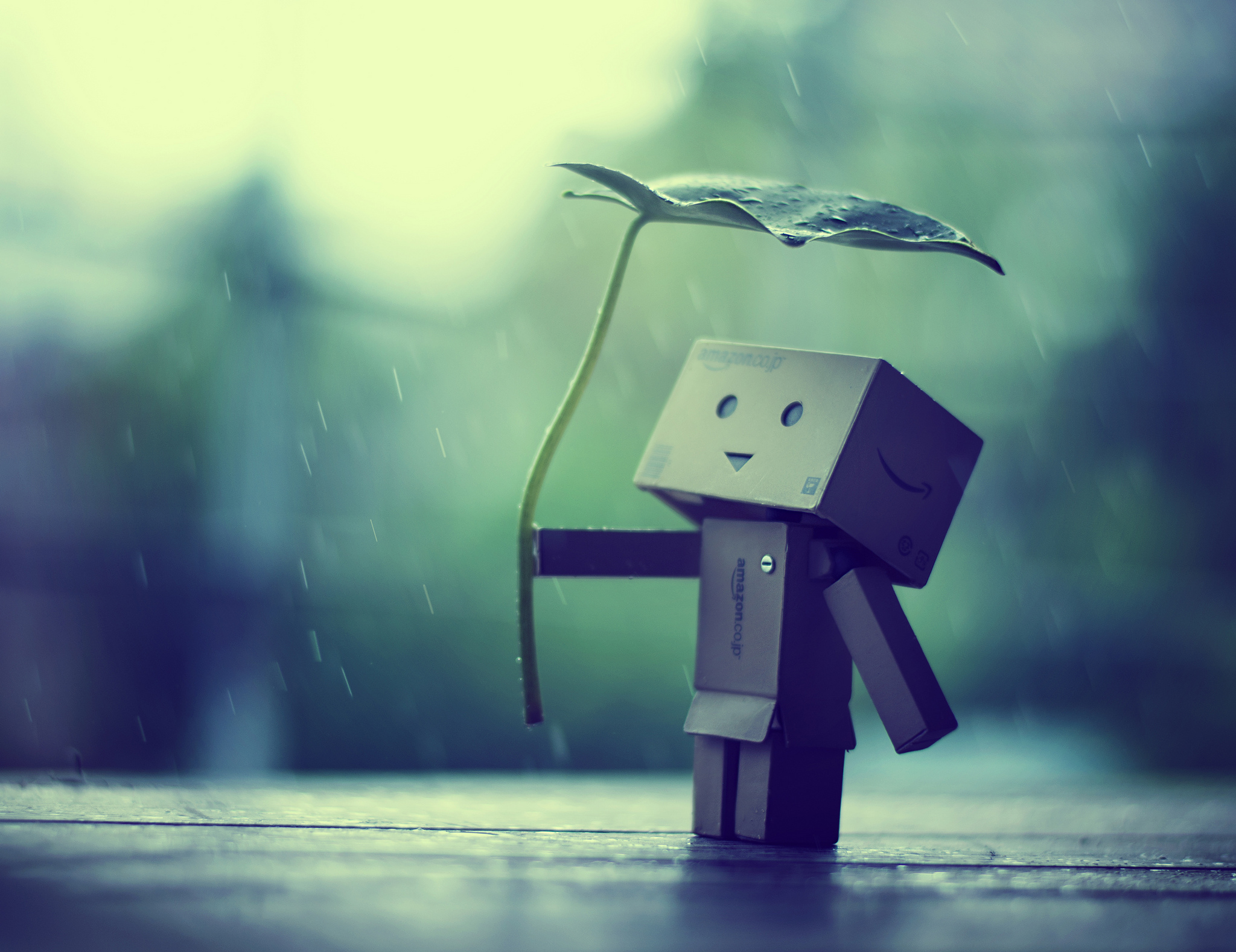 Картонный человечек Danbo