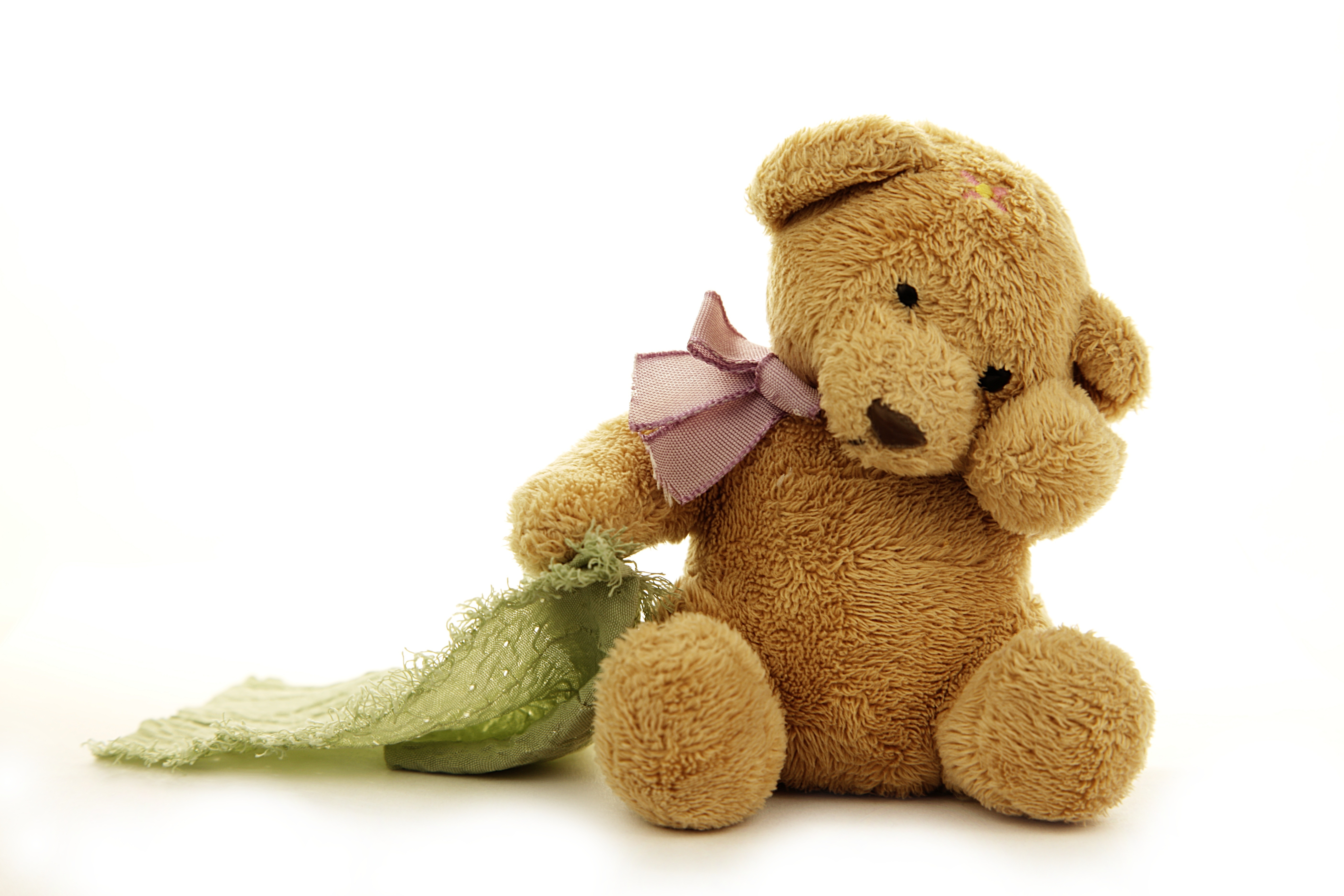 Обои медведь, мишка, игрушка, тедди, игрушечная, бантик, медвед, миленькая, bear, toy, teddy, bow, cute разрешение 5616x3744 Загрузить