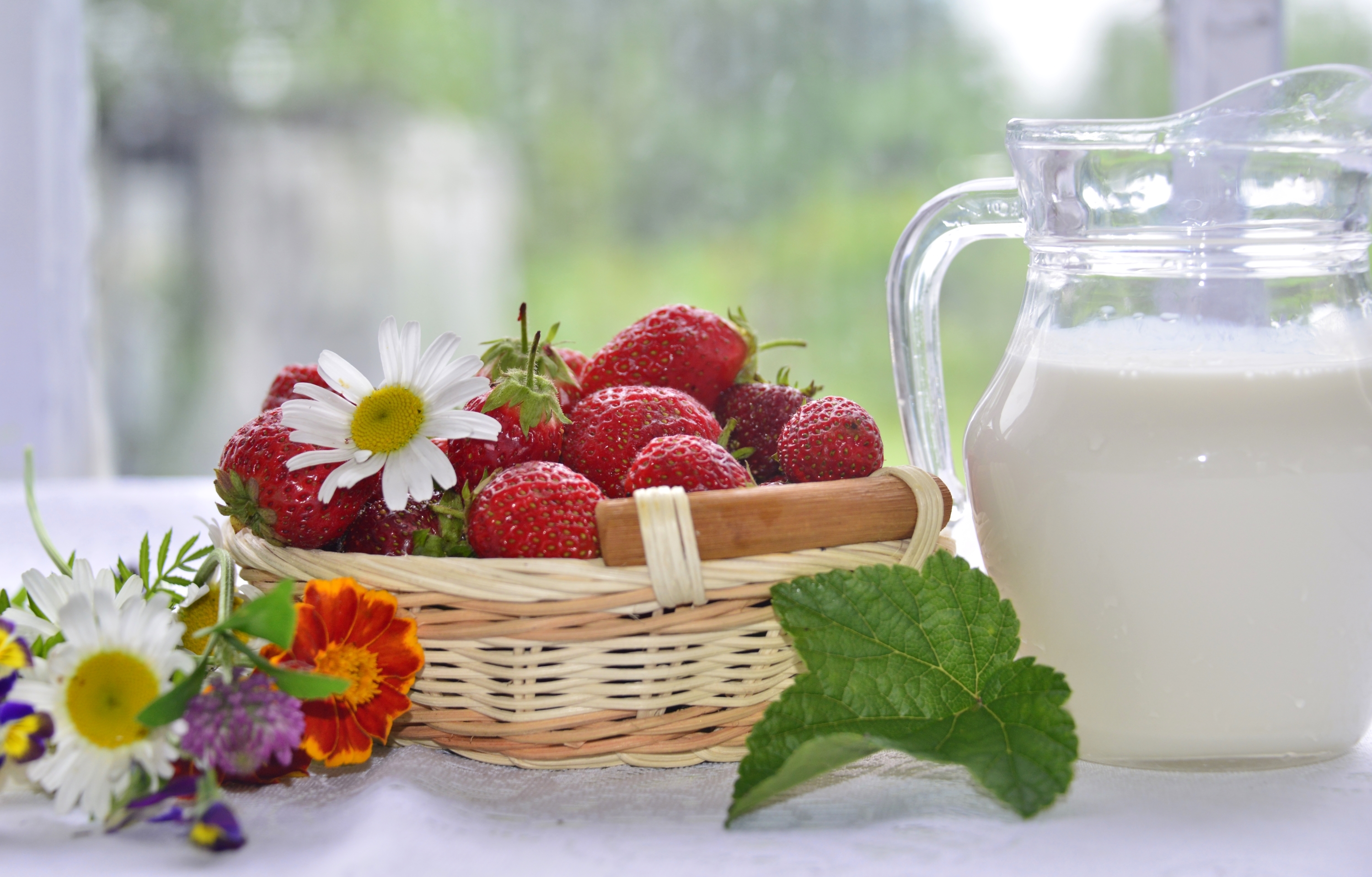 Обои цветы, клубника, ромашки, ягоды, молоко, flowers, strawberry, chamomile, berries, milk разрешение 3000x1919 Загрузить