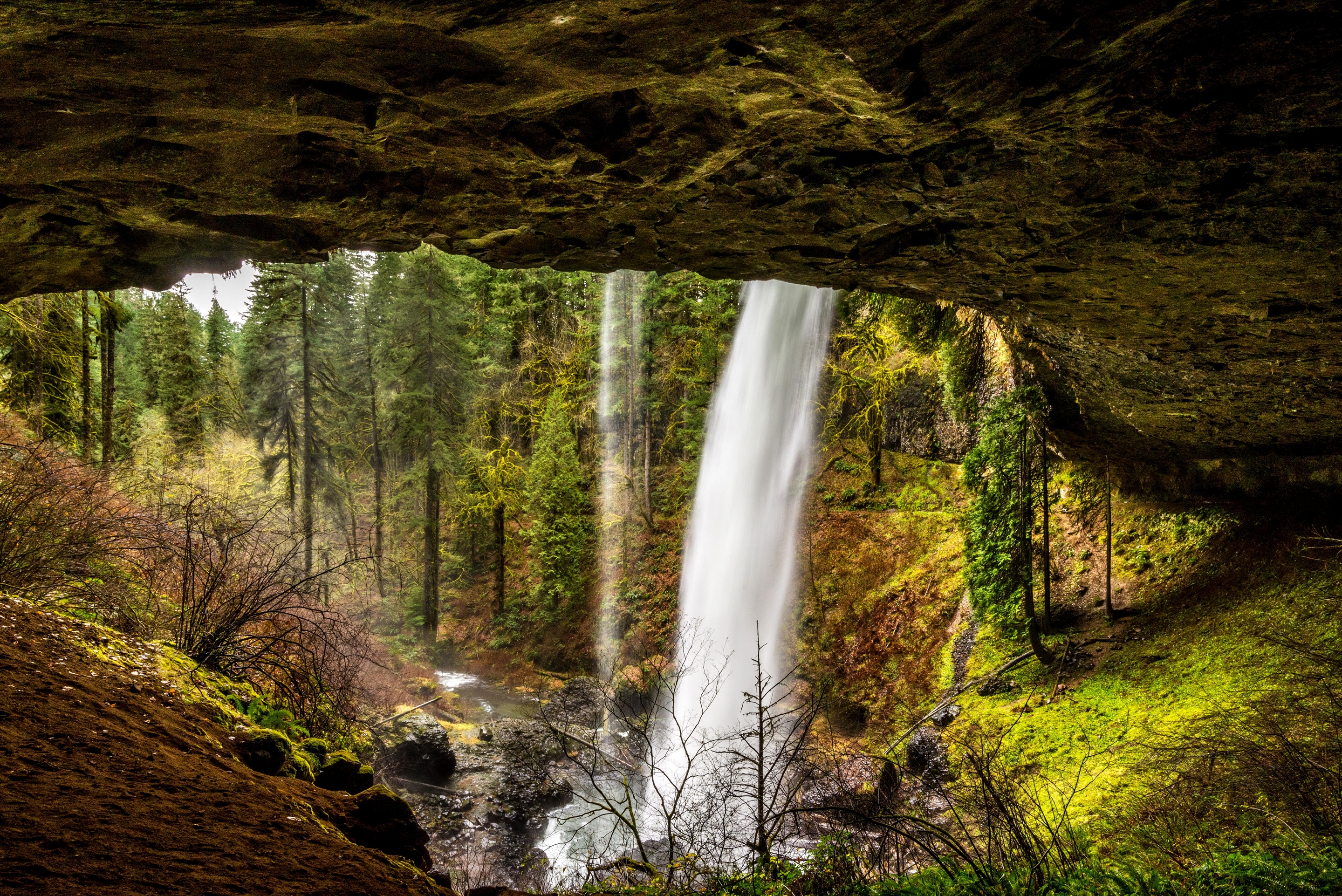 Обои деревья, камни, лес, скала, ручей, водопад, сша, silver falls state park, trees, stones, forest, rock, stream, waterfall, usa разрешение 2880x1923 Загрузить