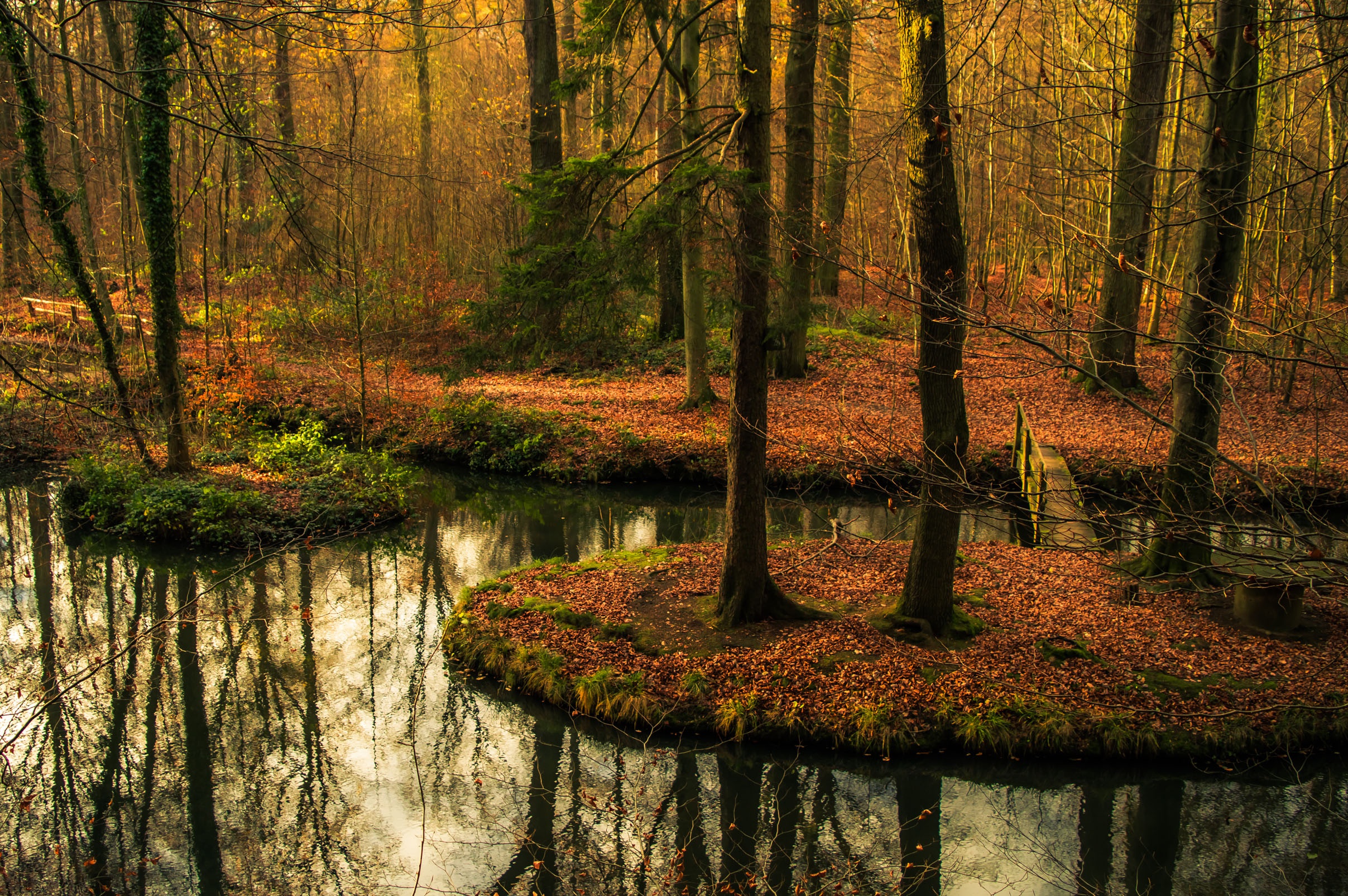 Обои деревья, вода, лес, отражение, мост, осень, водоем, осен, заркало, mirror, trees, water, forest, reflection, bridge, autumn, pond разрешение 2415x1606 Загрузить