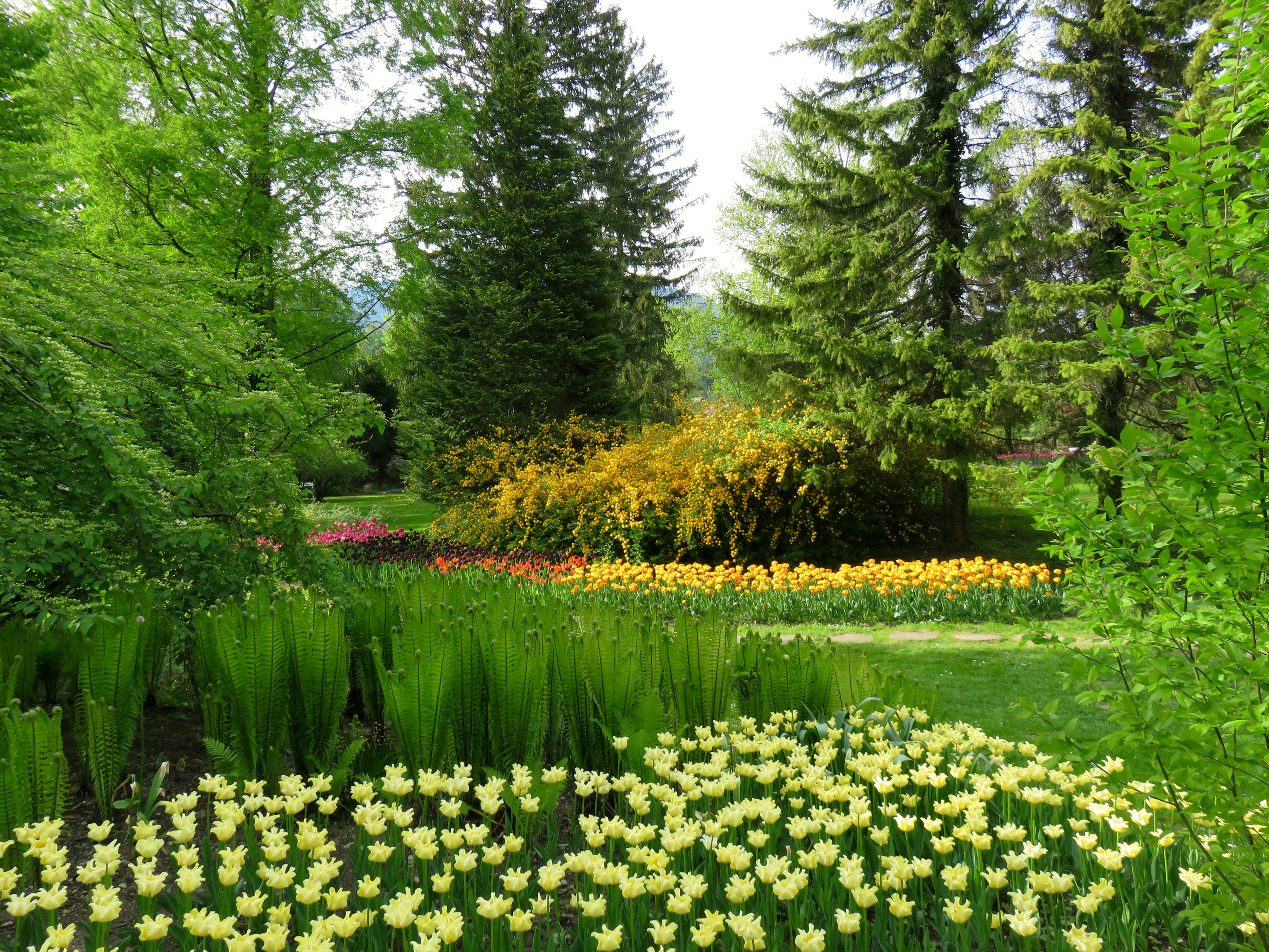 Обои цветы, трава, деревья, зелень, парк, словения, mozirski gaj, flowers, grass, trees, greens, park, slovenia разрешение 3000x2250 Загрузить