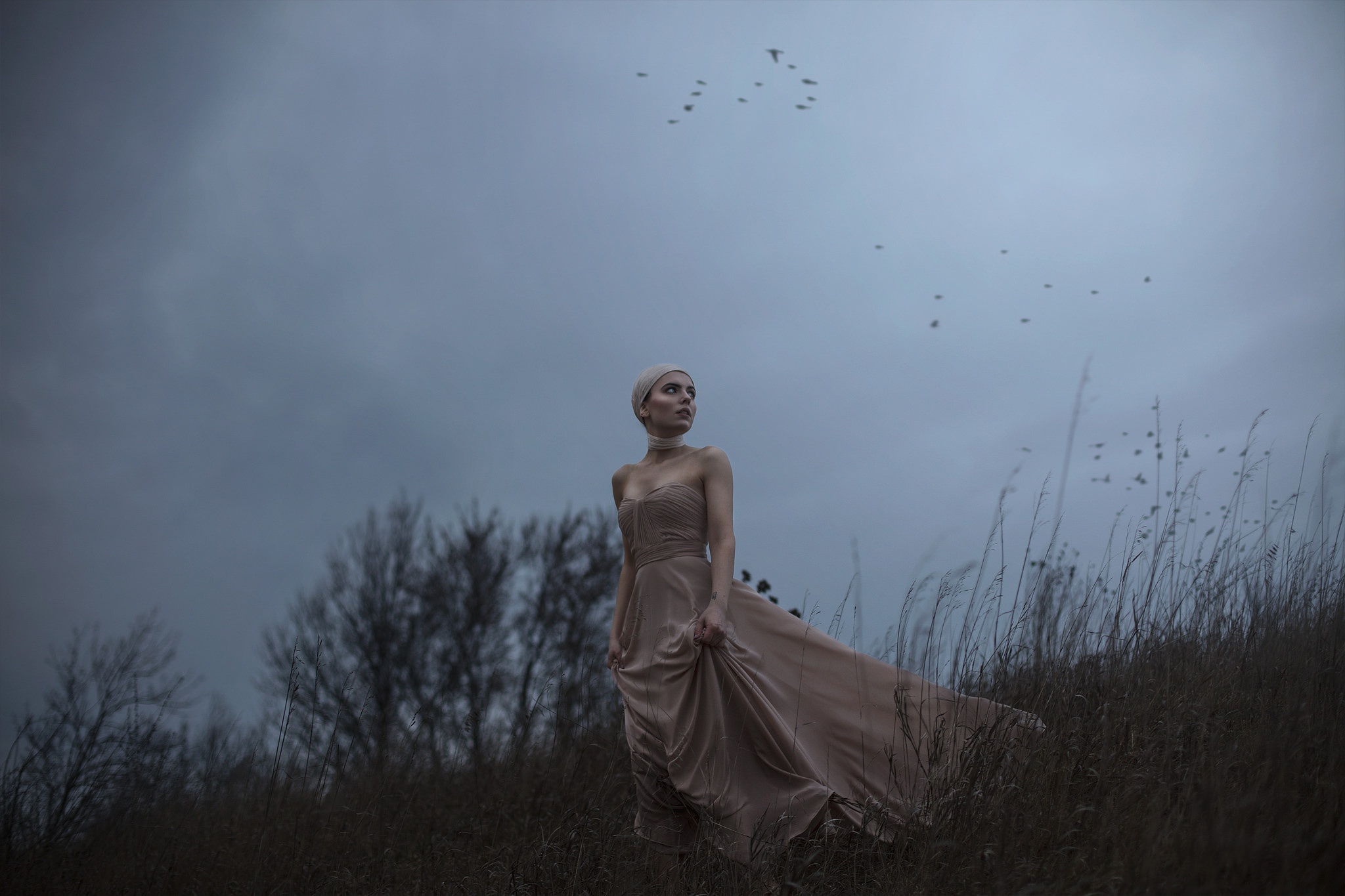 Обои девушка, платье, птицы, ветер, aleah michele, the side of a dying hill, girl, dress, birds, the wind разрешение 2048x1365 Загрузить