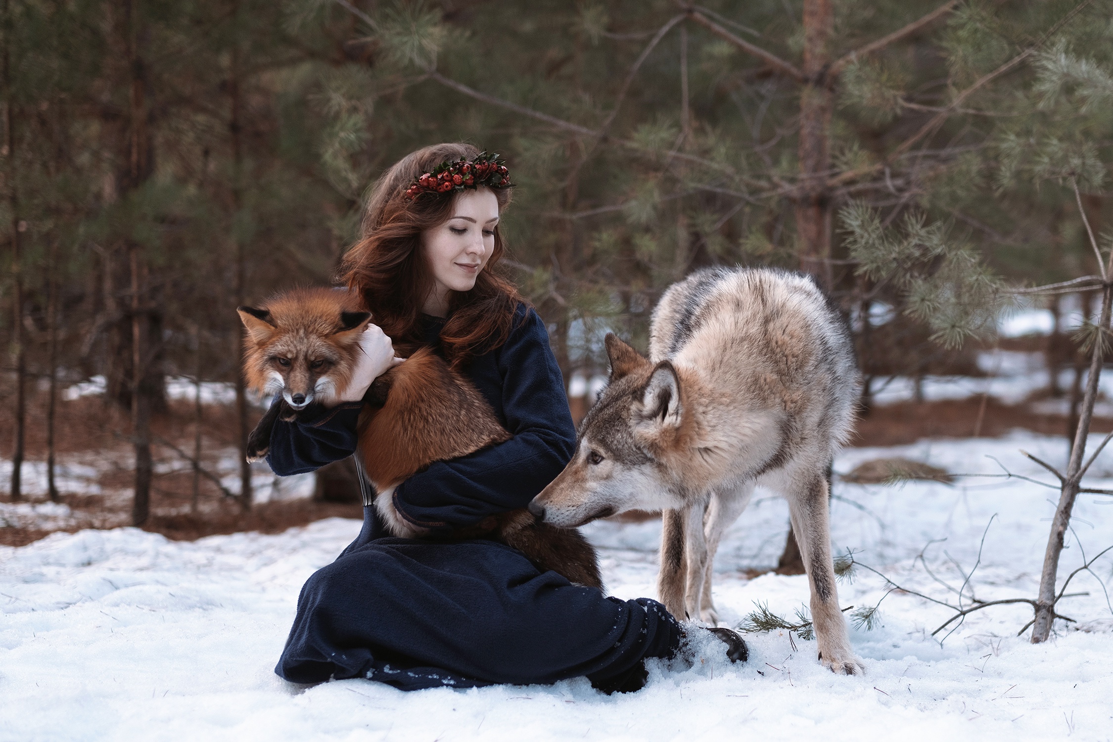 Обои снег, природа, лес, девушка, животные, лиса, волосы, волк, snow, nature, forest, girl, animals, fox, hair, wolf разрешение 2250x1500 Загрузить