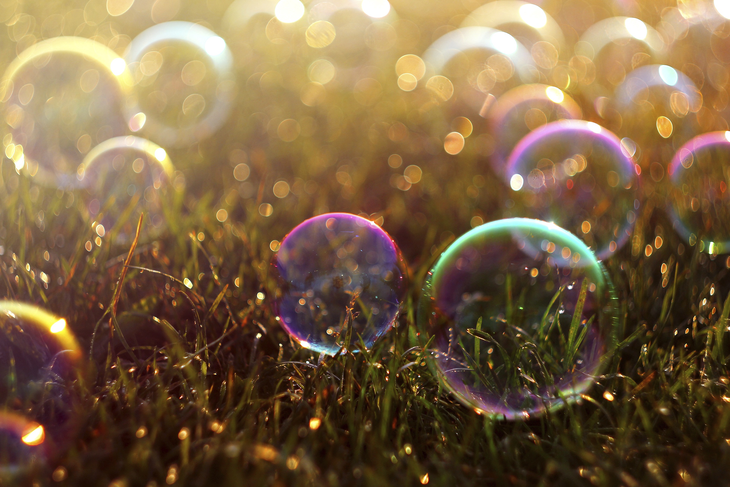 Обои трава, цветные, пузырьки, мыльные пузыри, боке, мыльный пузырь, grass, colored, bubbles, bokeh, bubble разрешение 2500x1667 Загрузить