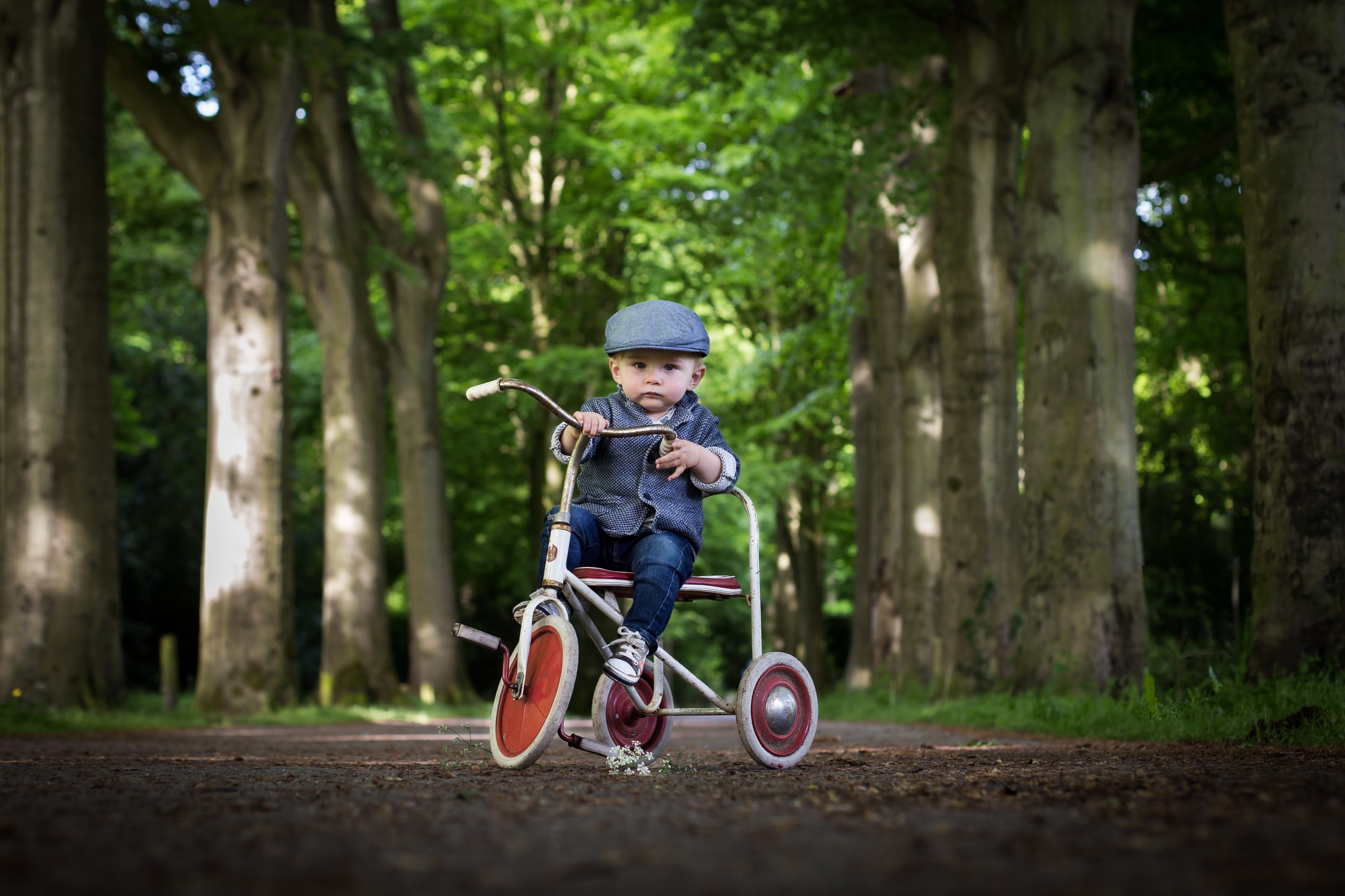 Обои взгляд, ребенок, мальчик, велосипед, кепка, look, child, boy, bike, cap разрешение 2560x1707 Загрузить