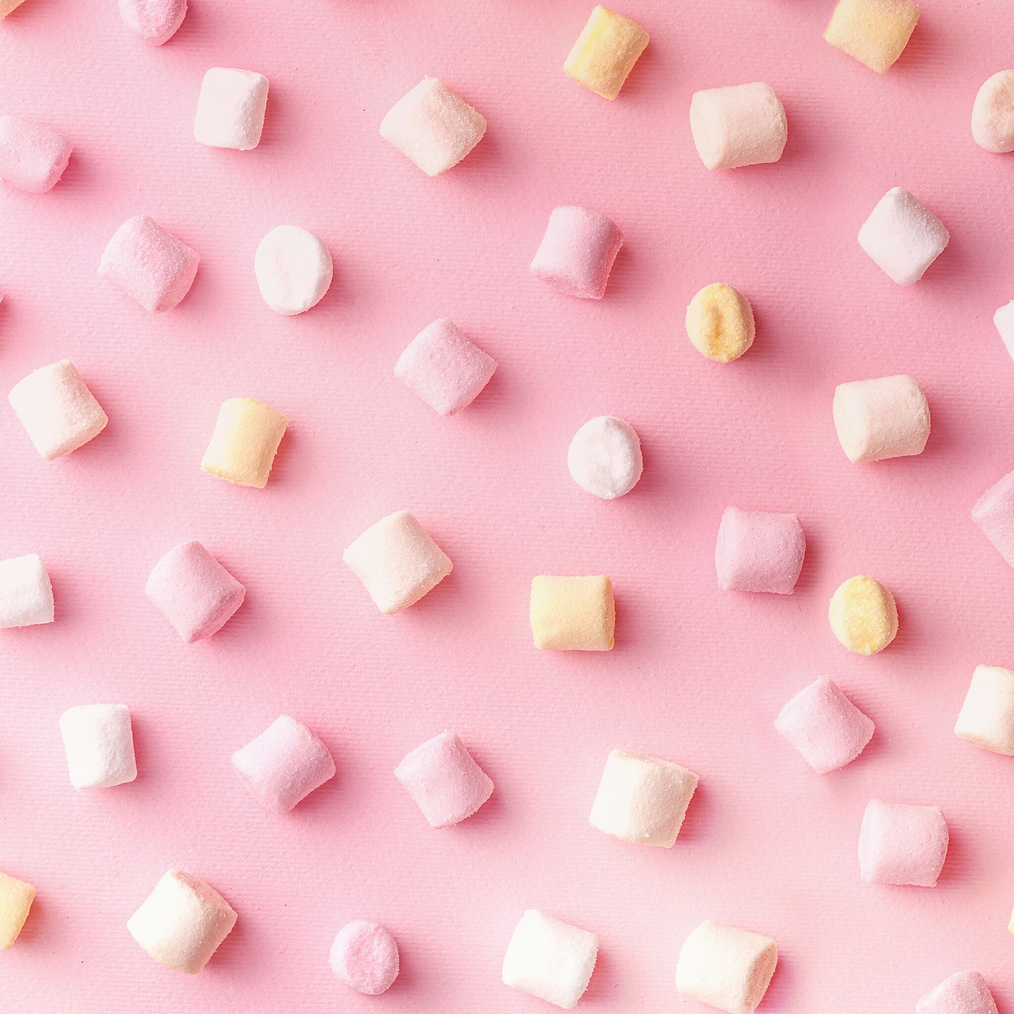 Обои сладкое, розовый фон, зефир, маршмэллоу, sweet, pink background, marshmallows, marshmallow разрешение 2048x2048 Загрузить