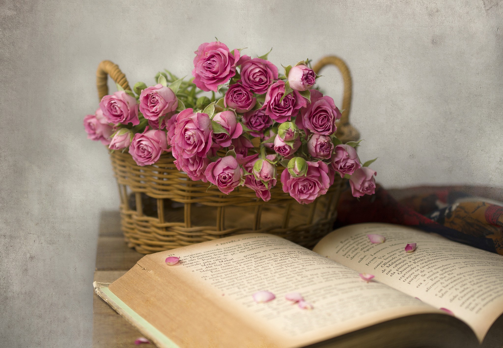 Обои цветы, розы, лепестки, букет, корзина, книга, и книга, flowers, roses, petals, bouquet, basket, book, and the book разрешение 2048x1417 Загрузить