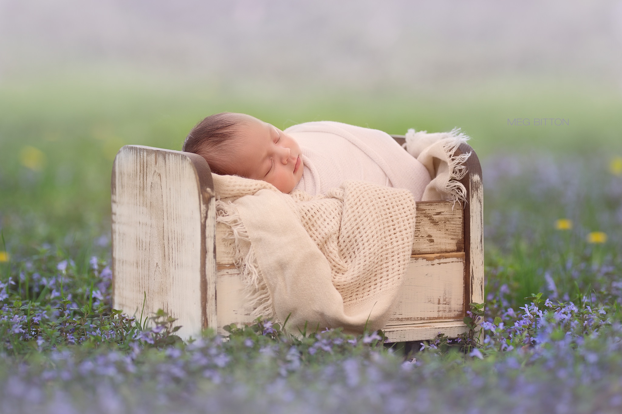 Обои цветы, сон, дети, младенец, боке, спящий, кроватка, flowers, sleep, children, baby, bokeh, cot разрешение 2048x1365 Загрузить