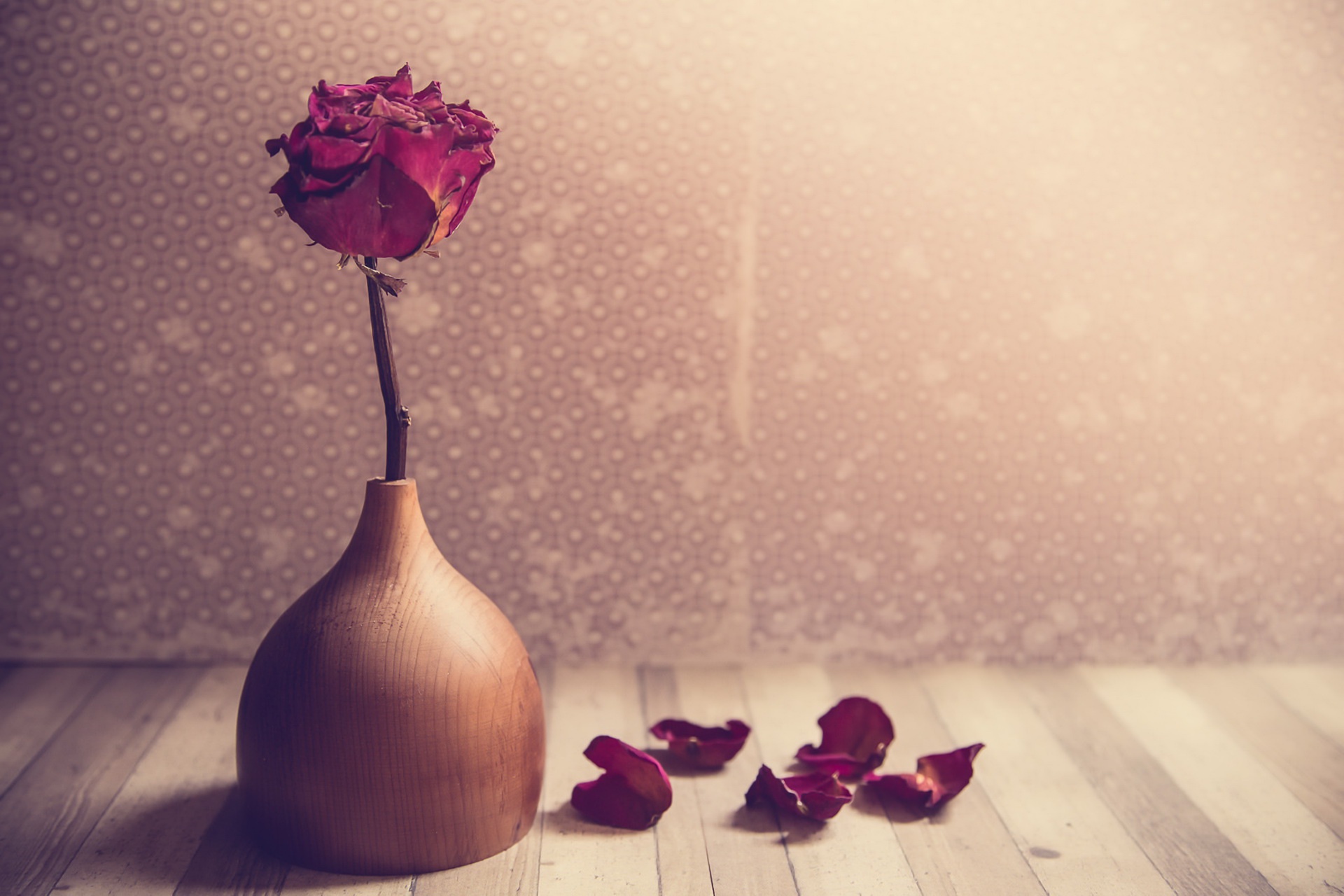 Обои обои, цветок, роза, лепестки, ваза, wallpaper, flower, rose, petals, vase разрешение 1920x1280 Загрузить