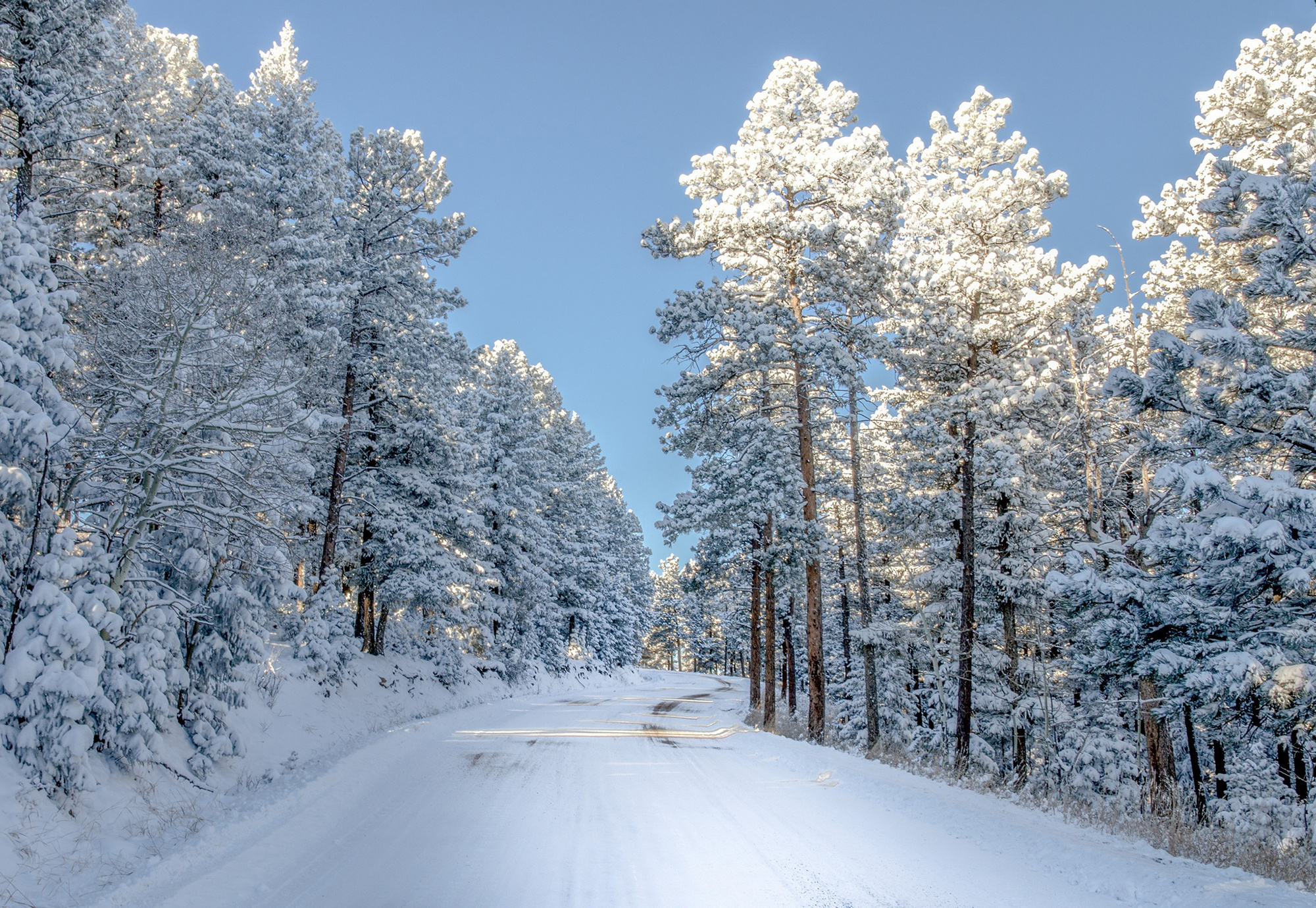 Обои небо, дорога, снег, природа, зима, сша, колорадо,     деревья, the sky, road, snow, nature, winter, usa, colorado, trees разрешение 2000x1379 Загрузить