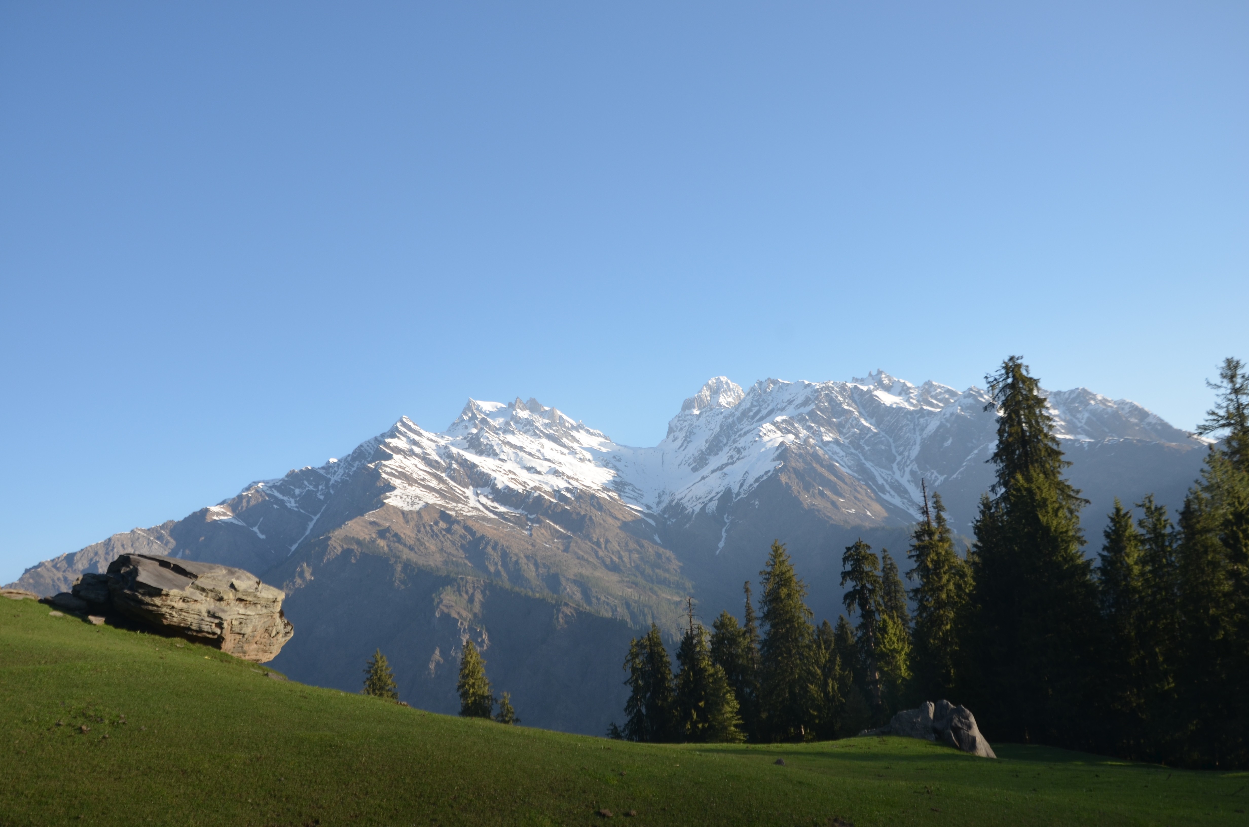 Обои небо, трава, деревья, горы, снег, природа, лес, индия, the sky, grass, trees, mountains, snow, nature, forest, india разрешение 4928x3264 Загрузить