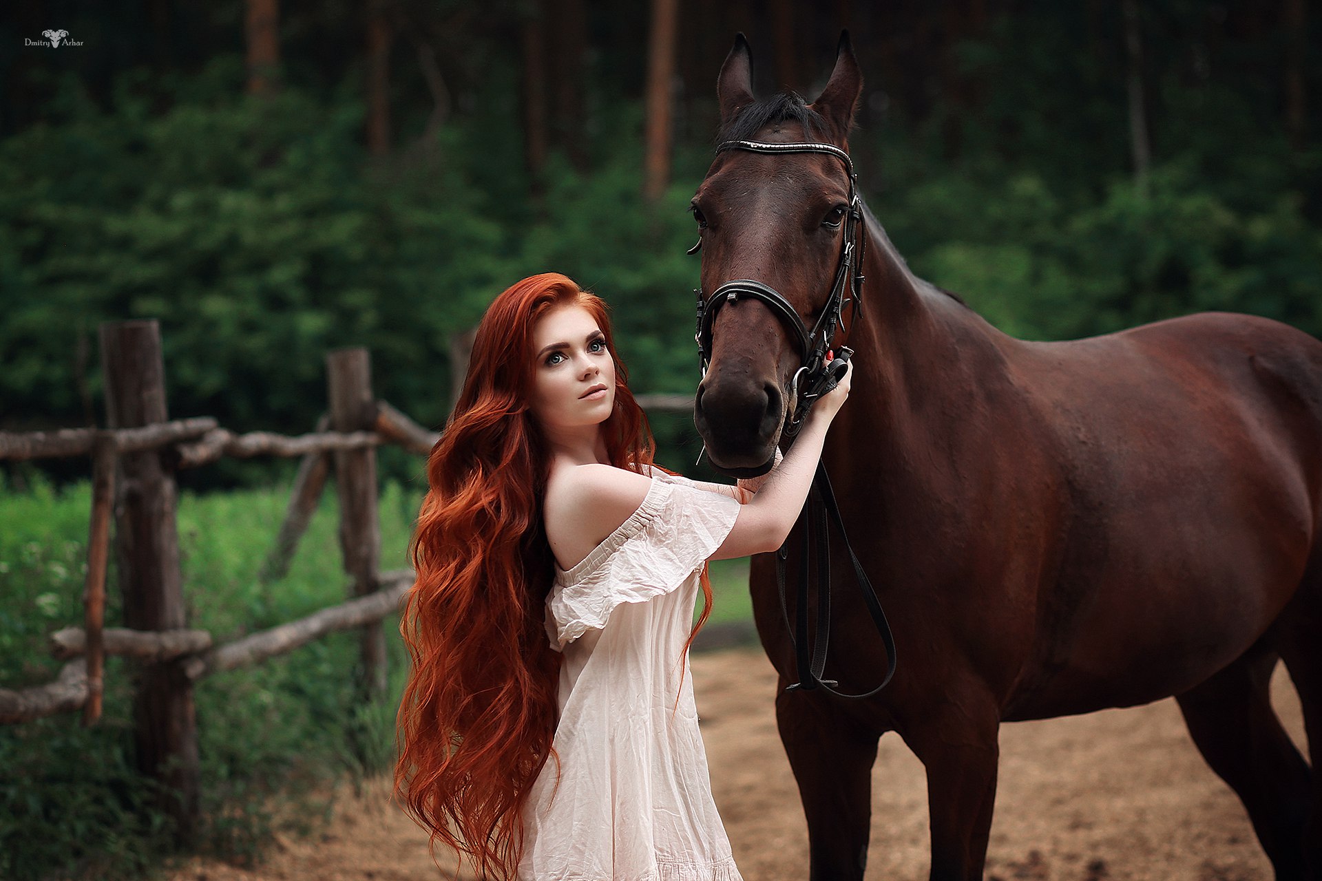 Обои лошадь, dmitry arhar, девушка, платье, взгляд, лицо, длинные волосы, рыжеволосая, голые плечи, horse, girl, dress, look, face, long hair, redhead, bare shoulders разрешение 1920x1280 Загрузить