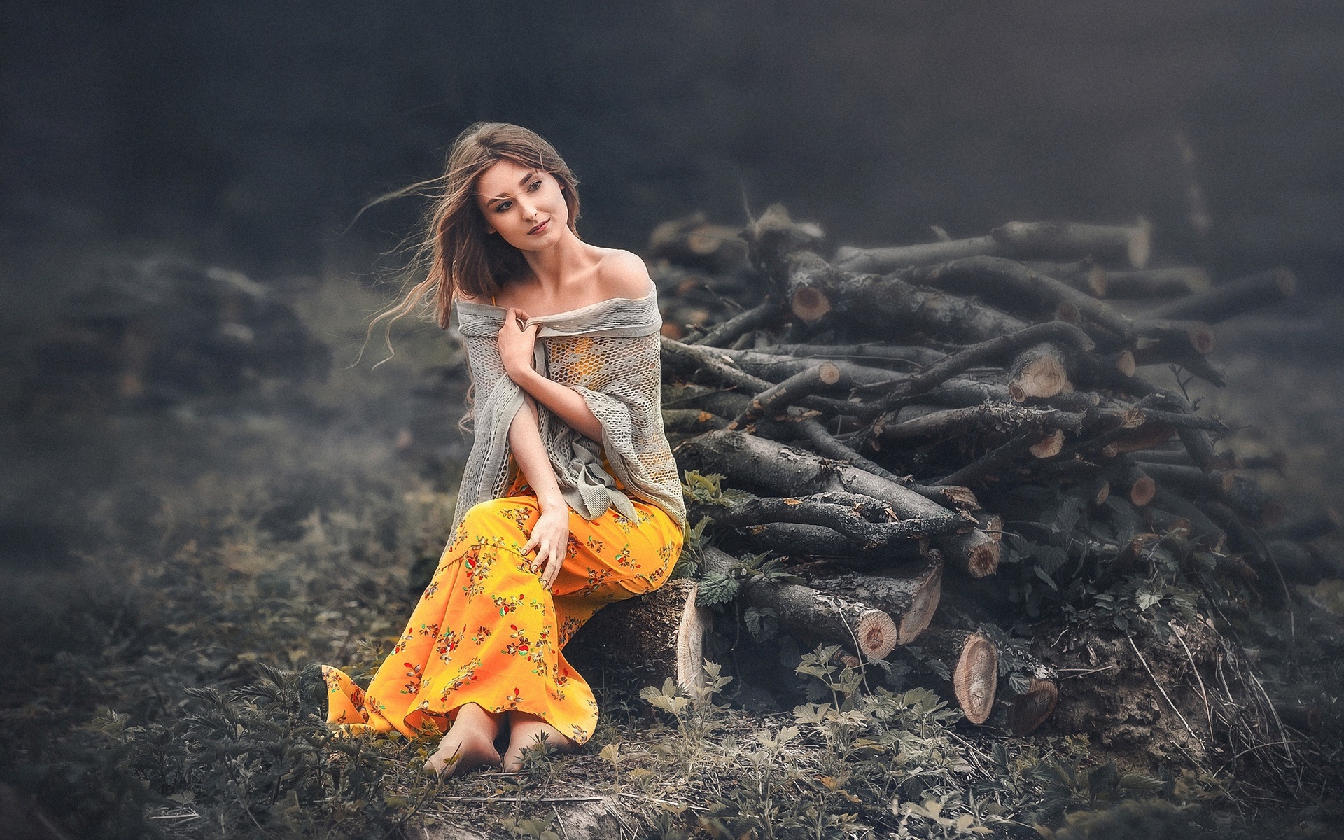 Обои девушка, фон, поза, взгляд, волосы, дрова, вадим мельник, girl, background, pose, look, hair, wood, vadim miller разрешение 1920x1200 Загрузить