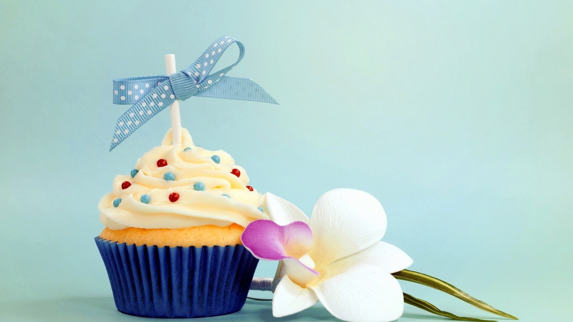 Обои бант, кулич, кекс, цветком, день рождение, bow, cake, cupcake, flower, birthday разрешение 1920x1080 Загрузить