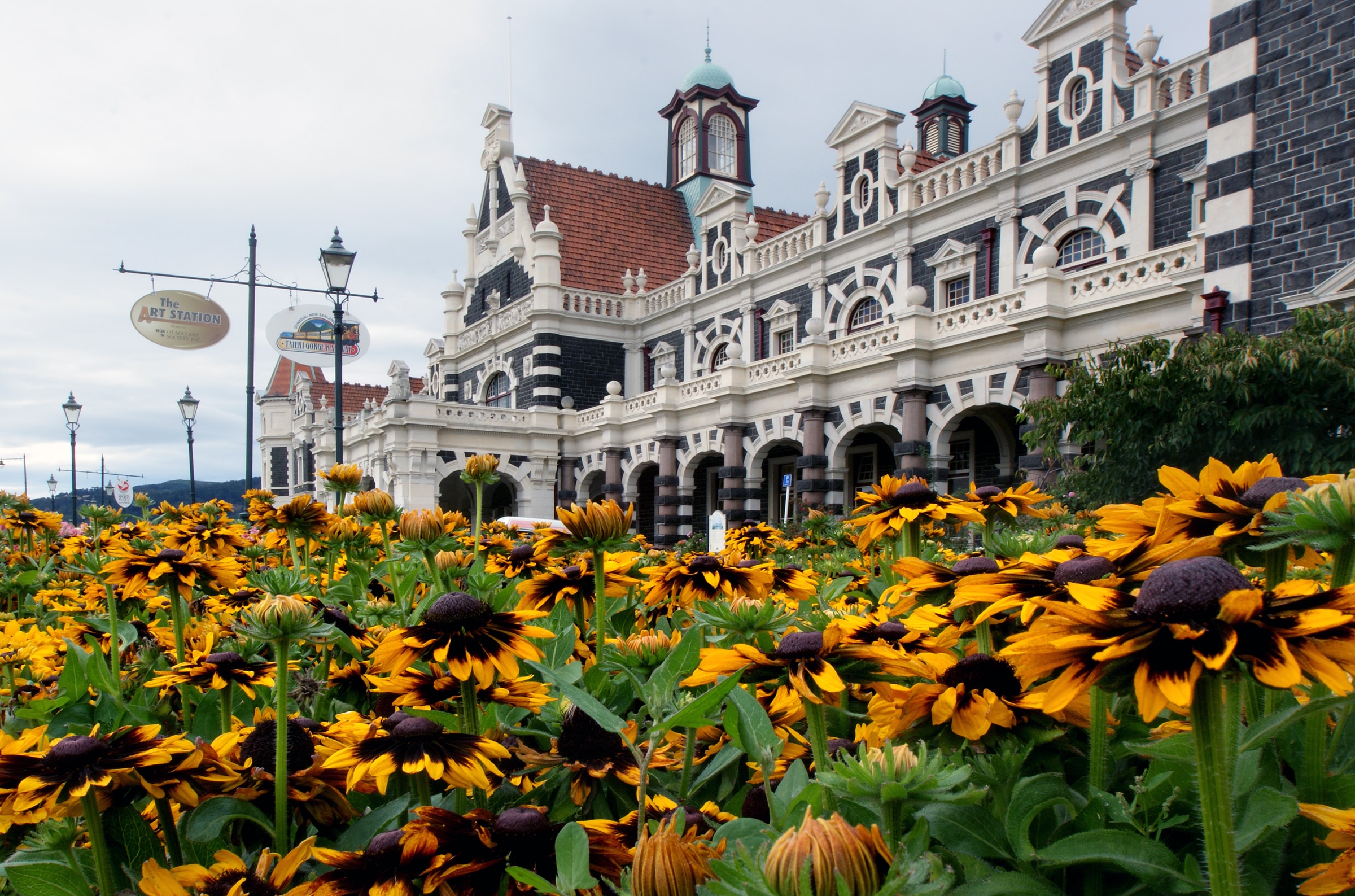 Обои цветы, архитектура, новая зеландия, рудбекия, данидин, flowers, architecture, new zealand, rudbeckia, dunedin разрешение 2400x1587 Загрузить