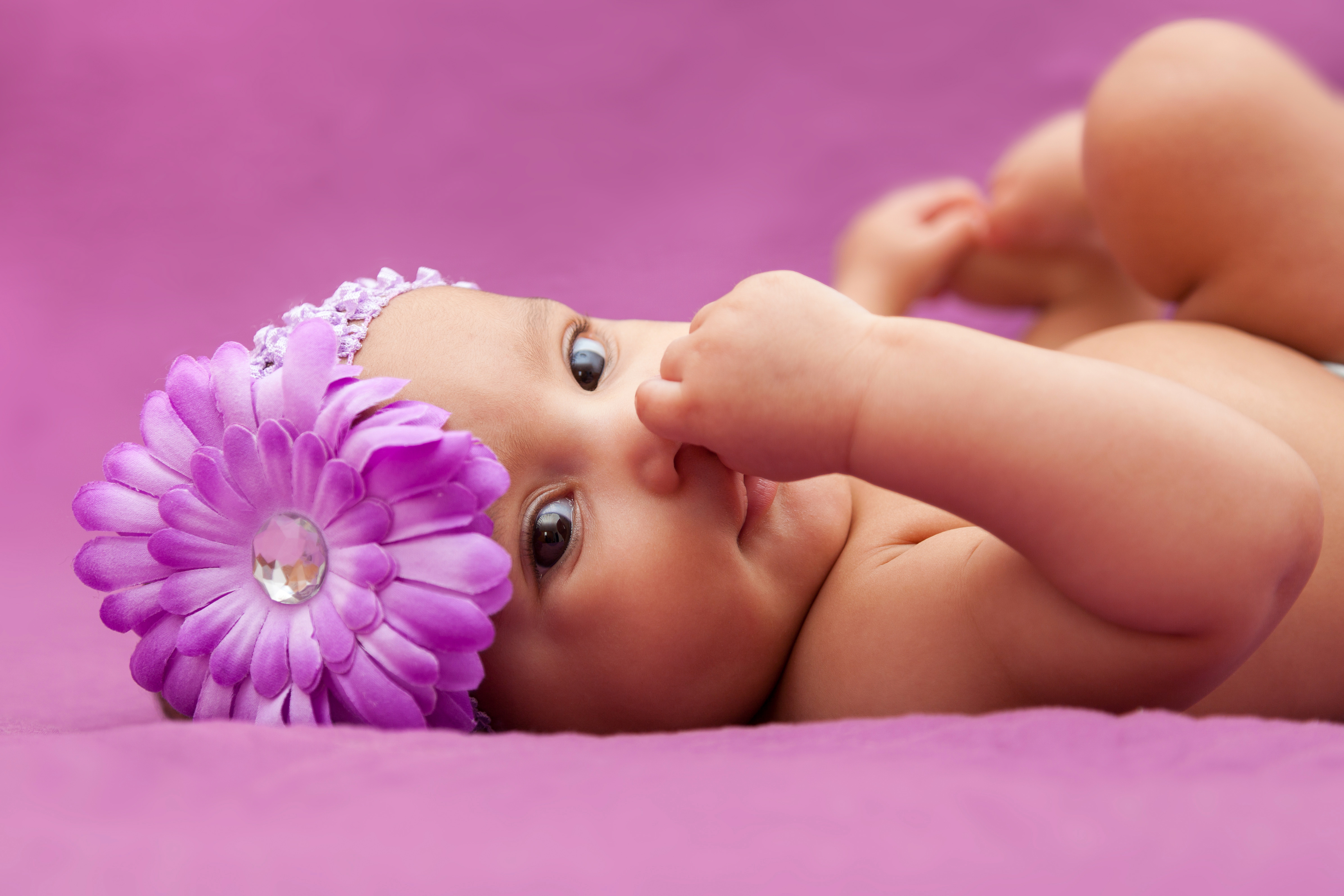 Обои цветок, взгляд, дети, девочка, лицо, ребенок, младенец, flower, look, children, girl, face, child, baby разрешение 4782x3187 Загрузить