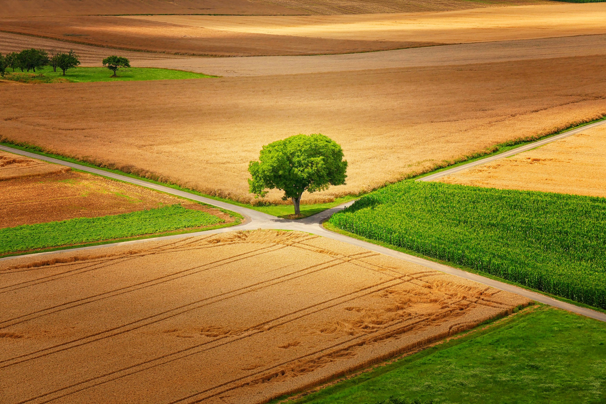 Обои природа, дерево, пейзаж, поле, дороги, германия, little♥krawler, гессен, nature, tree, landscape, field, road, germany, hessen разрешение 2048x1365 Загрузить