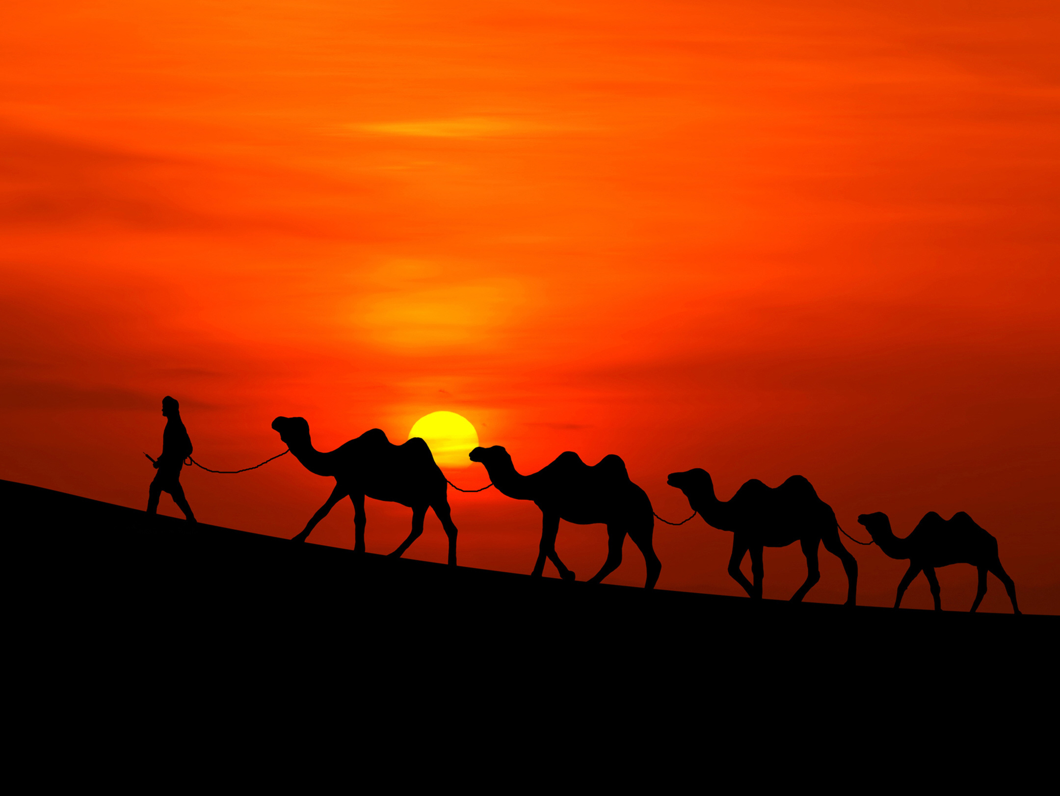 Обои солнце, закат, пустыня, человек, караван, верблюды, the sun, sunset, desert, people, caravan, camels разрешение 2160x1622 Загрузить