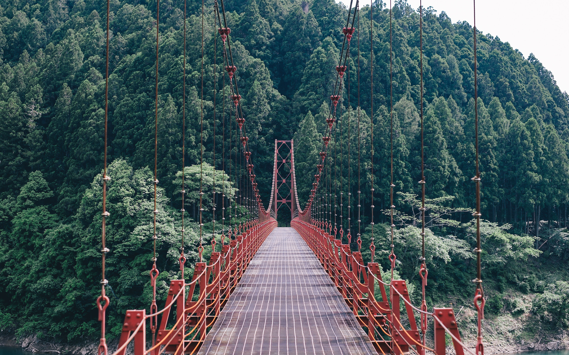 Обои деревья, природа, лес, пейзаж, мост, подвесной мост, trees, nature, forest, landscape, bridge, suspension bridge разрешение 1920x1200 Загрузить