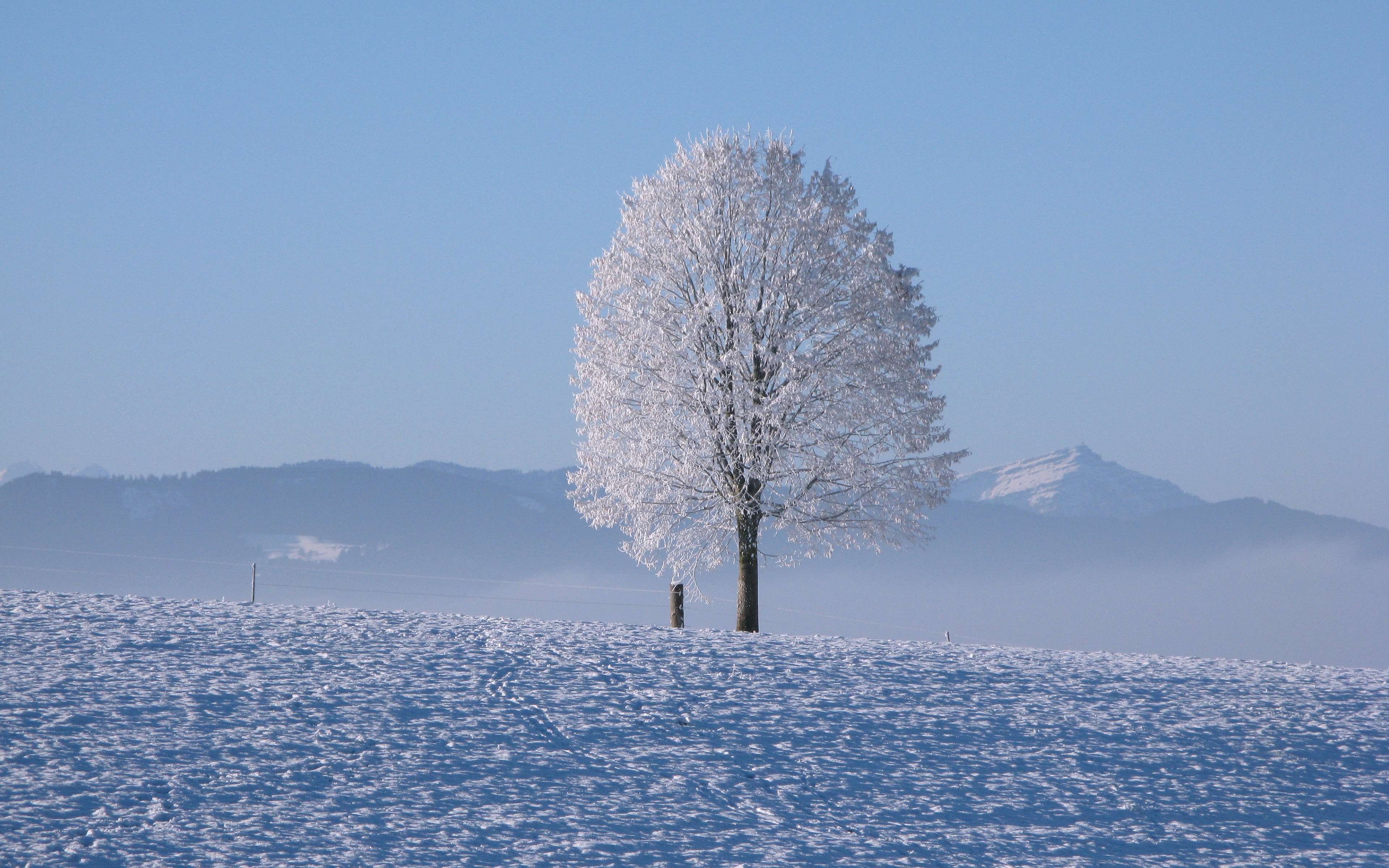 Обои горы, снег, дерево, зима, горизонт, холодно, mountains, snow, tree, winter, horizon, cold разрешение 3840x2400 Загрузить