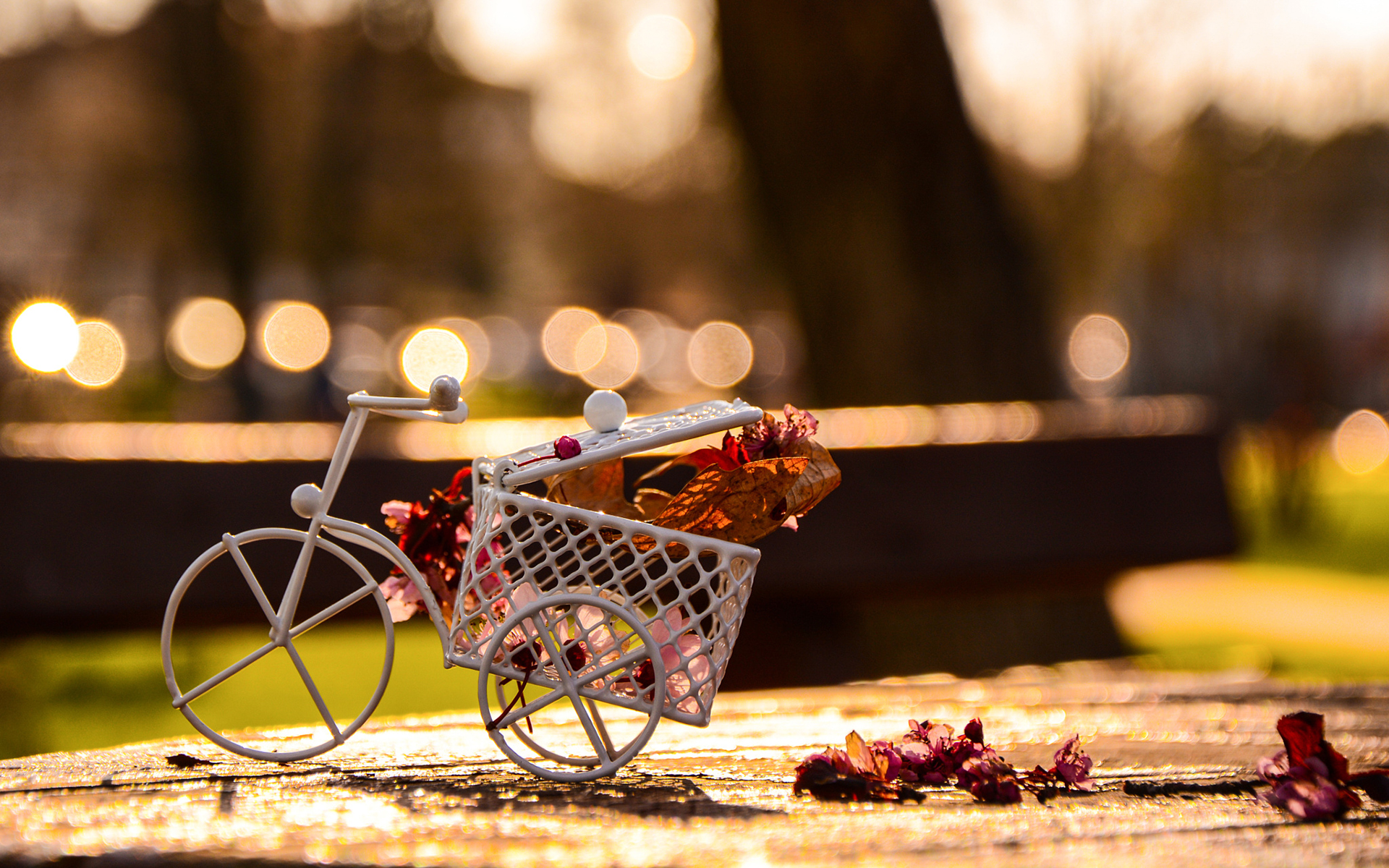 Обои цветы, лепестки, велосипед, фигурка, сувенир, flowers, petals, bike, figure, souvenir разрешение 1920x1200 Загрузить