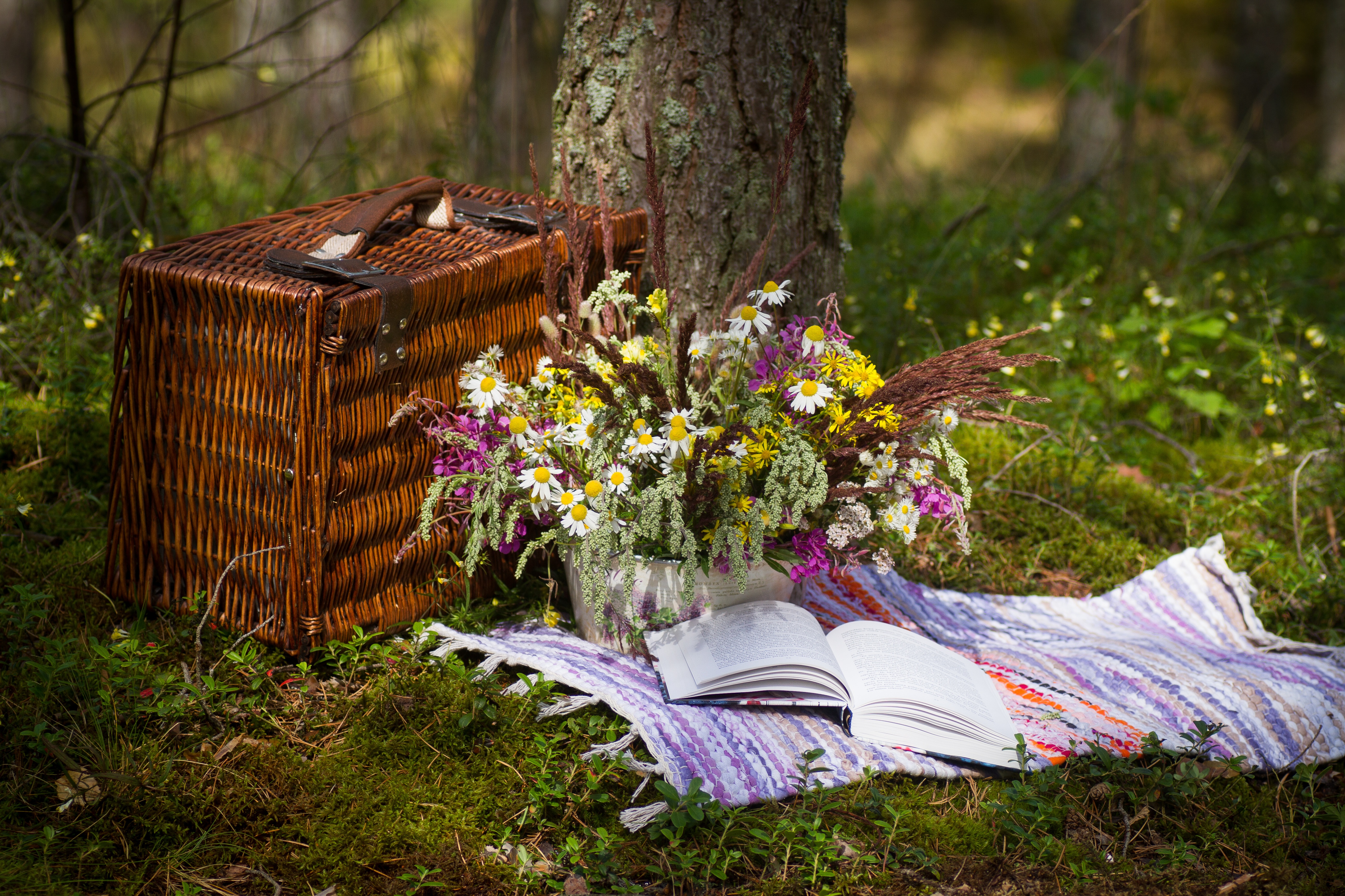 Обои цветы, коврик, трава, природа, букет, корзина, полевые цветы, книга, пикник, flowers, mat, grass, nature, bouquet, basket, wildflowers, book, picnic разрешение 5184x3456 Загрузить