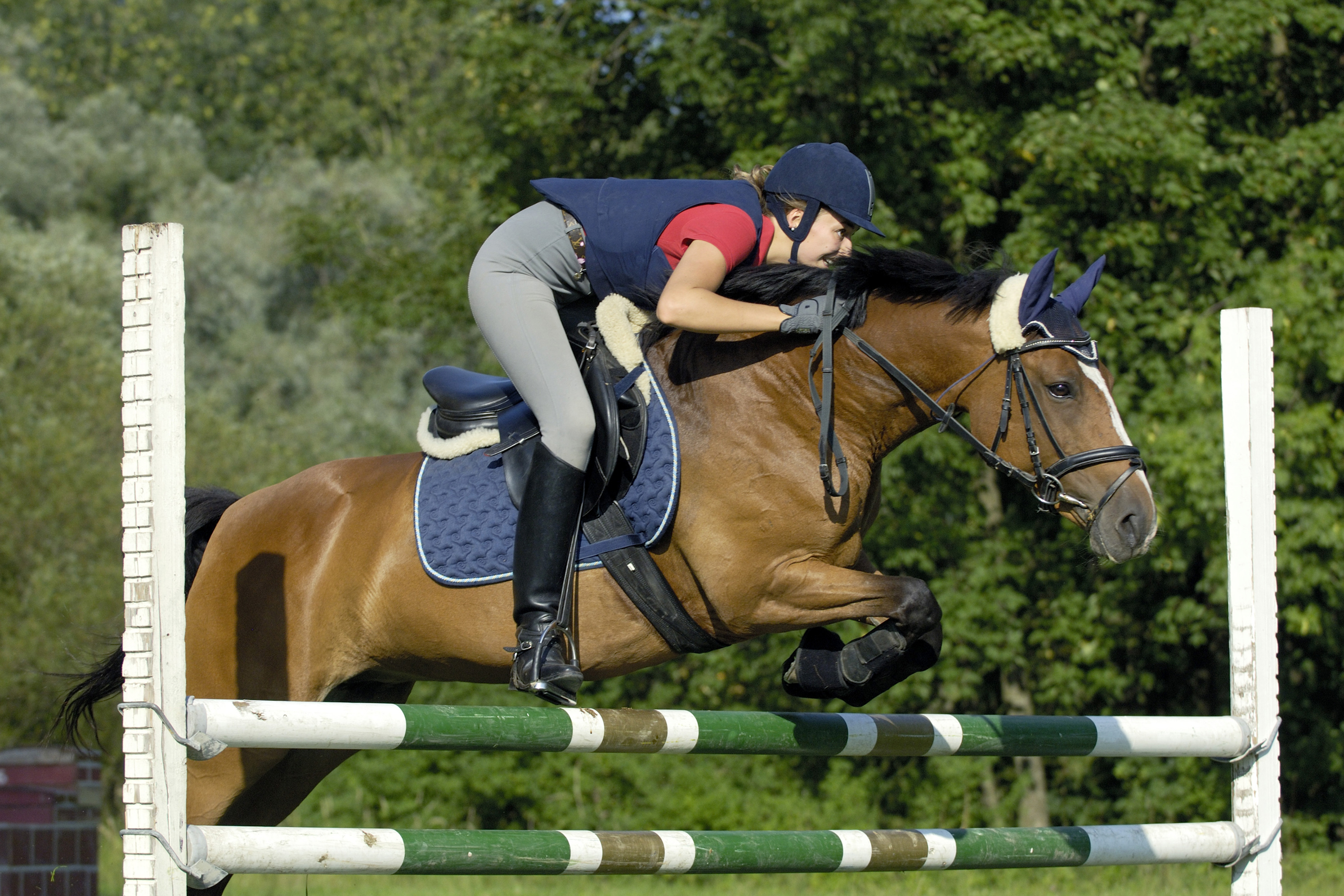 Обои лошадь, девушка, прыжок, спорт, униформа, конь, барьер, horse, girl, jump, sport, uniform, barrier разрешение 2700x1800 Загрузить