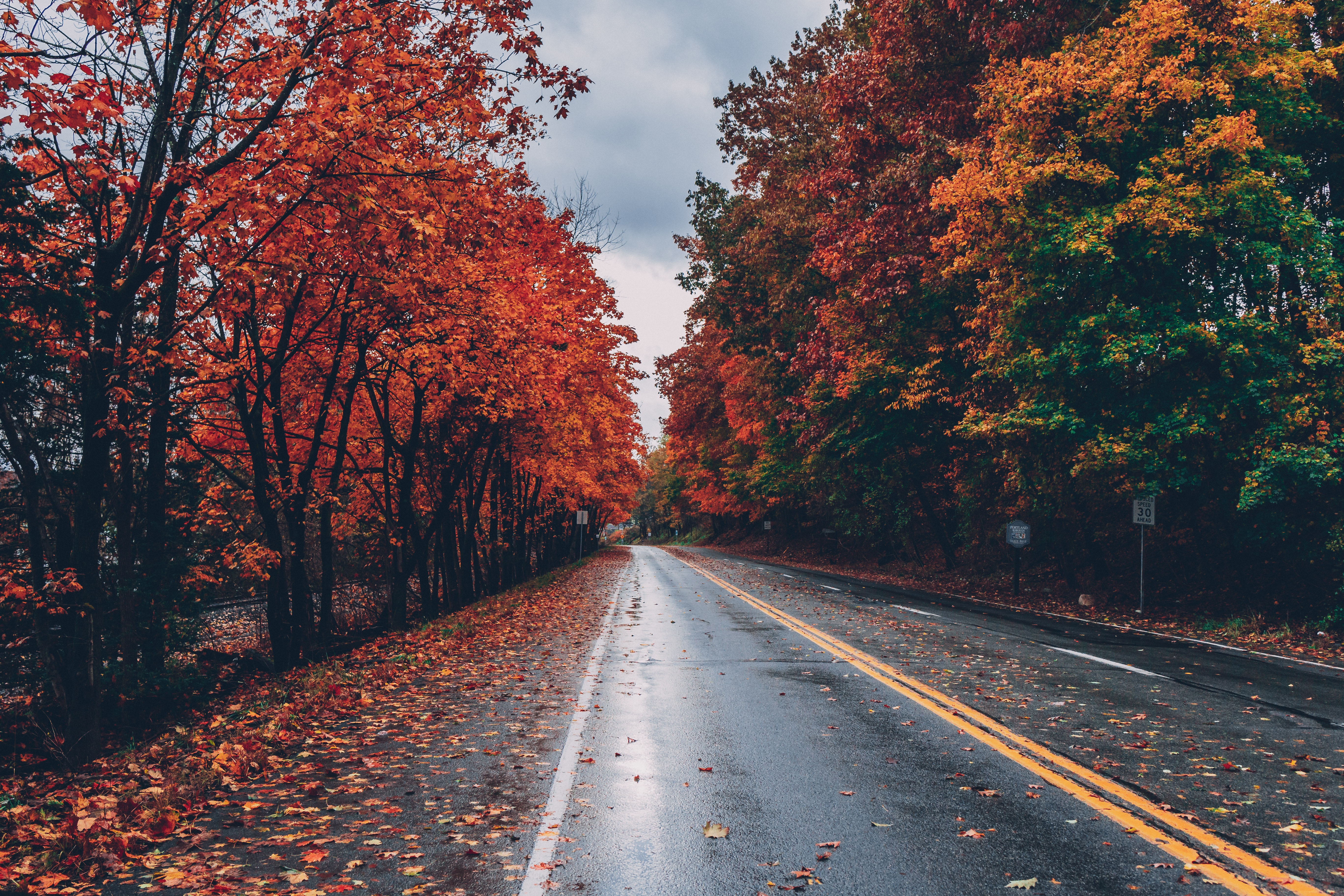 Обои дорога, деревья, листья, осень, листопад, road, trees, leaves, autumn, falling leaves разрешение 5472x3648 Загрузить