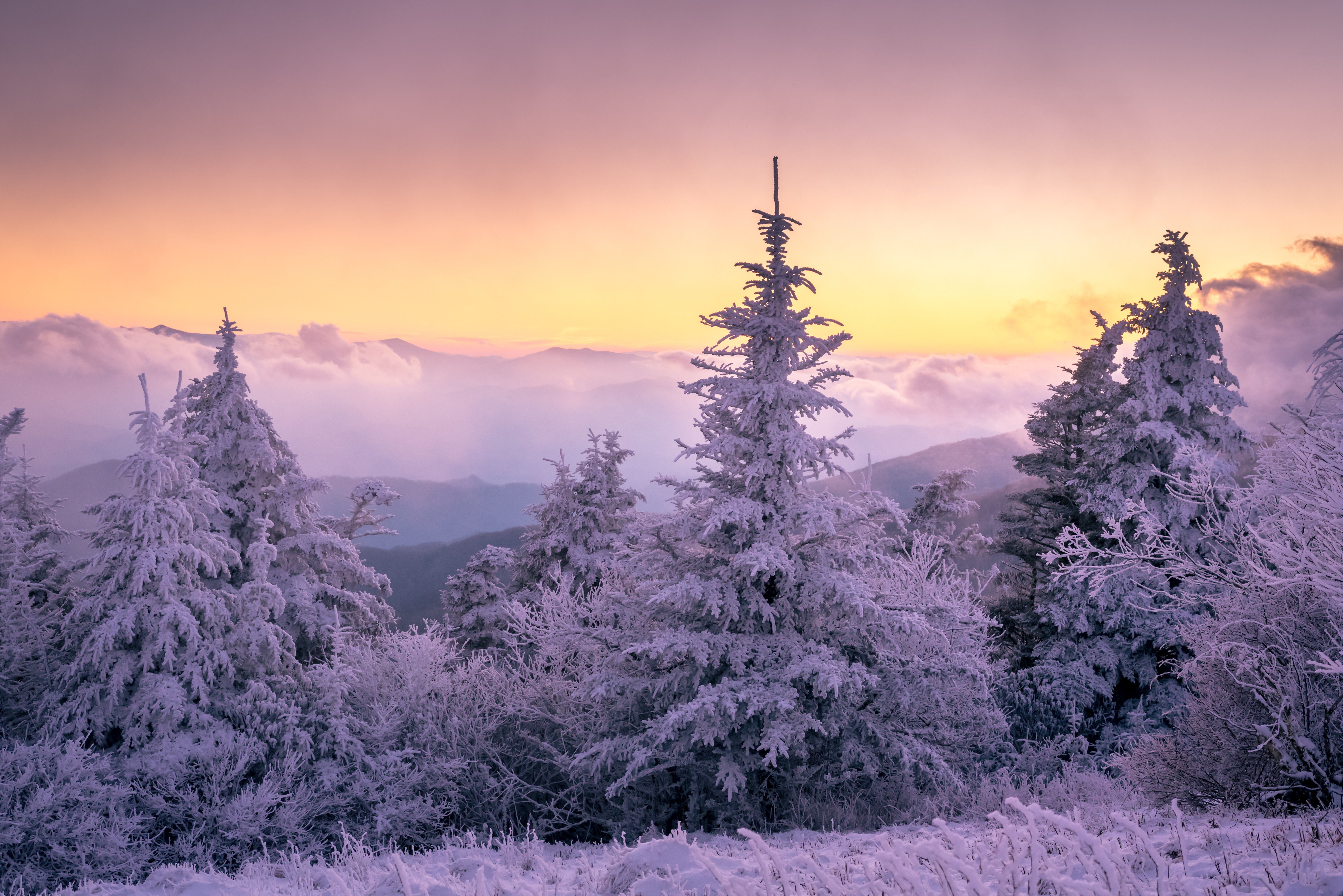 Обои лес, закат, зима, forest, sunset, winter разрешение 6016x4016 Загрузить