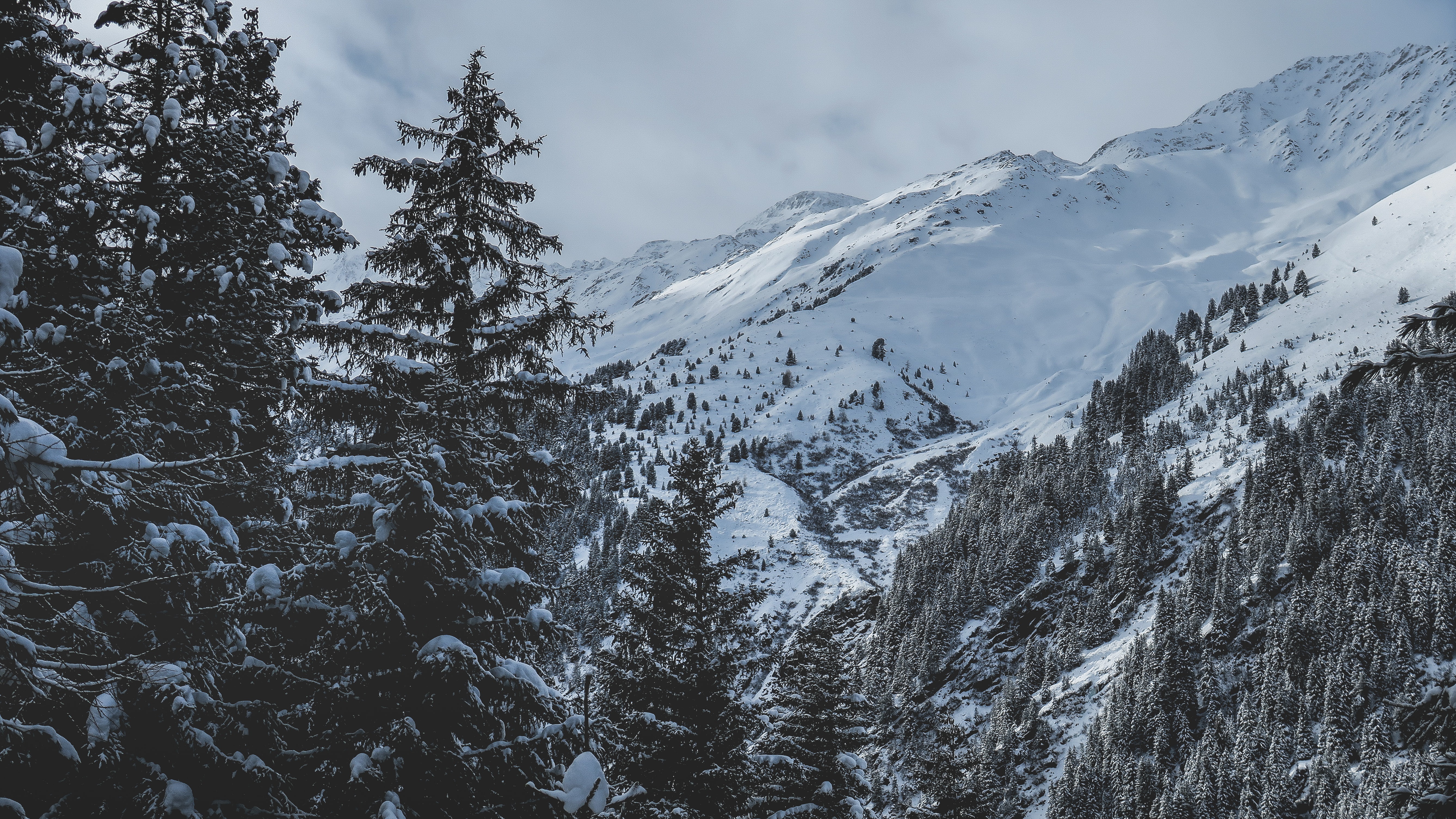 Обои небо, зима, облака, деревья, горы, скалы, снег, природа, лес, the sky, winter, clouds, trees, mountains, rocks, snow, nature, forest разрешение 5351x3010 Загрузить