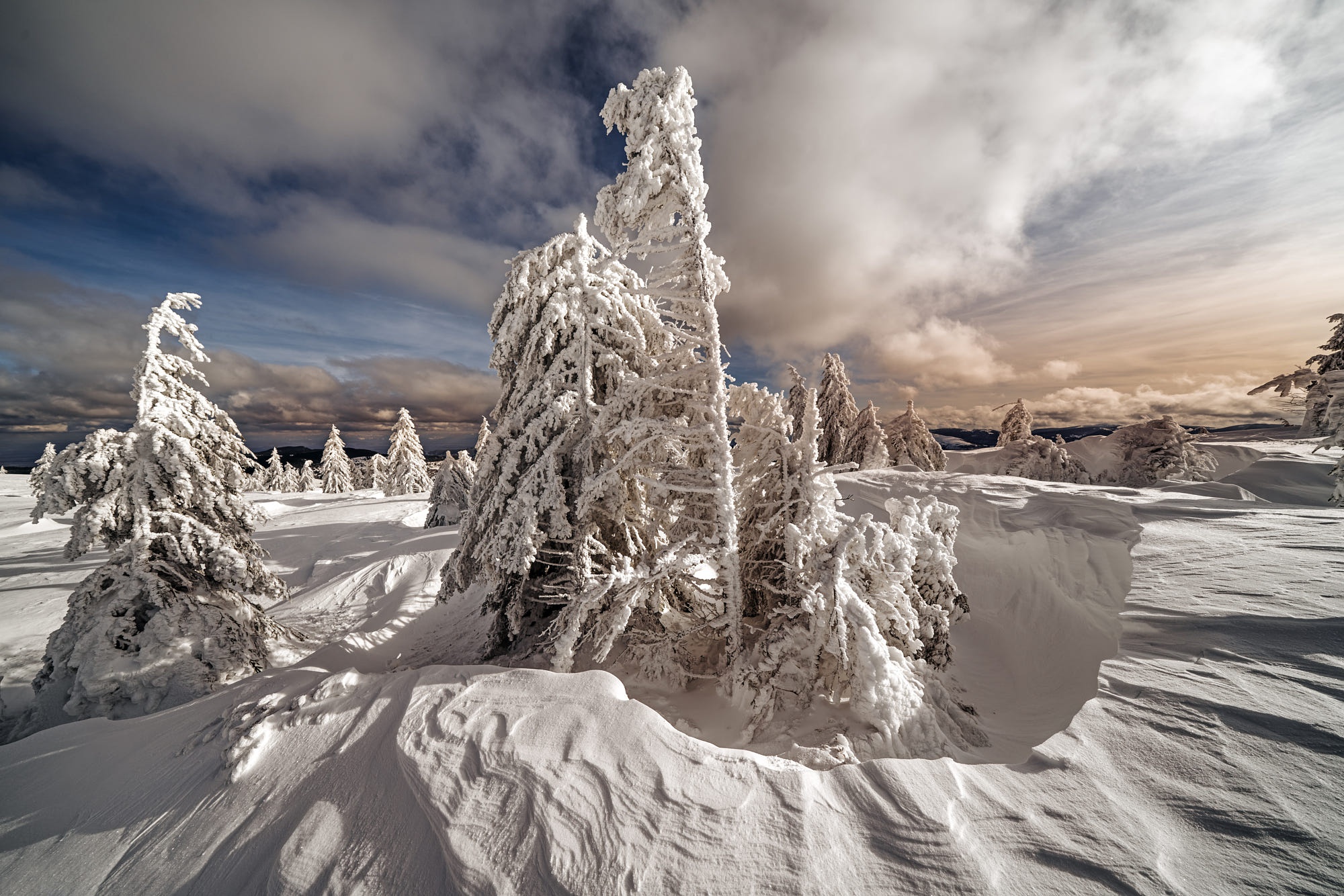 Обои небо, сугробы, облака, снег, природа, лес, зима, ели, елочки, the sky, the snow, clouds, snow, nature, forest, winter, ate, christmas trees разрешение 2000x1334 Загрузить