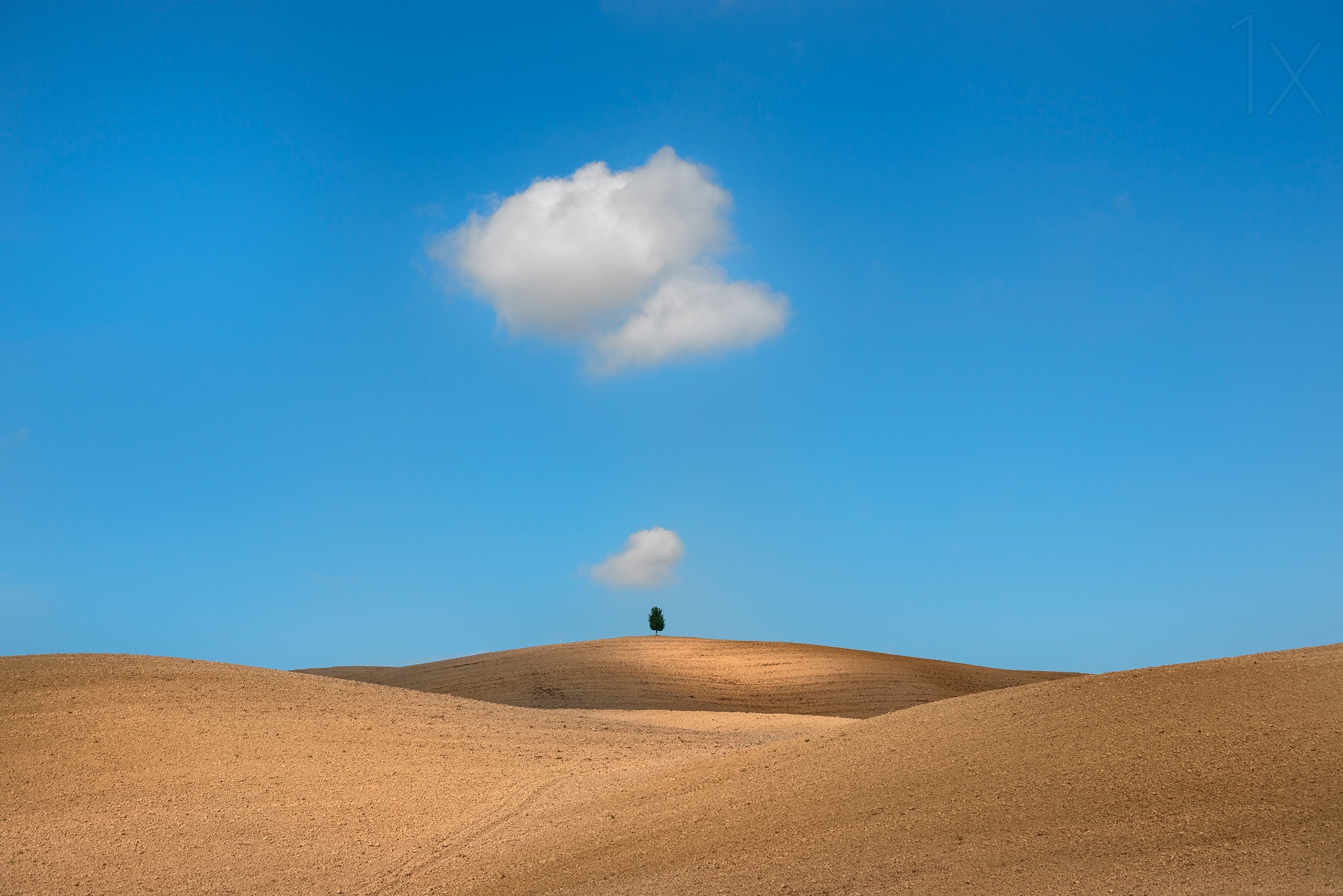 Обои облака, дерево, поле, тоскана, clouds, tree, field, tuscany разрешение 2500x1668 Загрузить