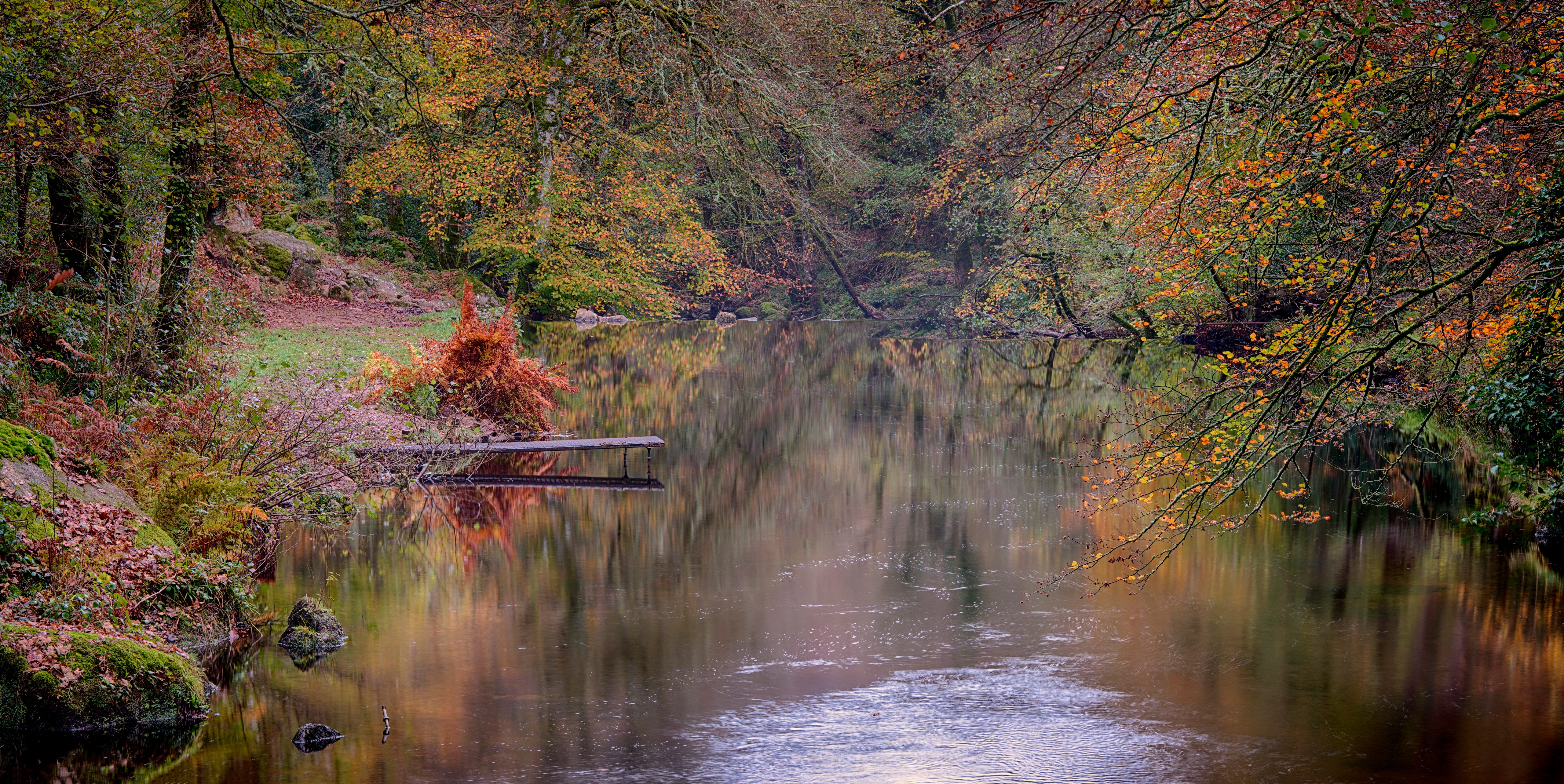 Обои лес, осень, речка, forest, autumn, river разрешение 5120x2567 Загрузить