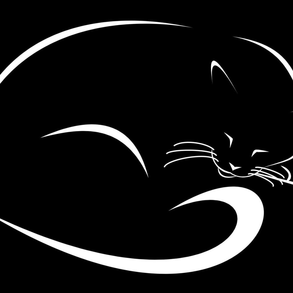 Обои рисунок, кошка, черный фон, figure, cat, black background разрешение 1920x1200 Загрузить