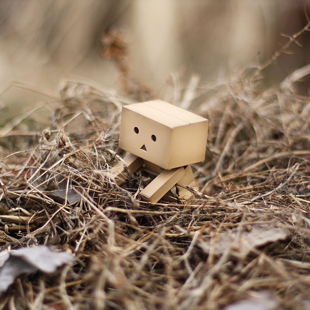 Обои трава, листья, робот, куча, данбо, дамбо, grass, leaves, robot, a bunch, danbo, dumbo разрешение 2560x1600 Загрузить