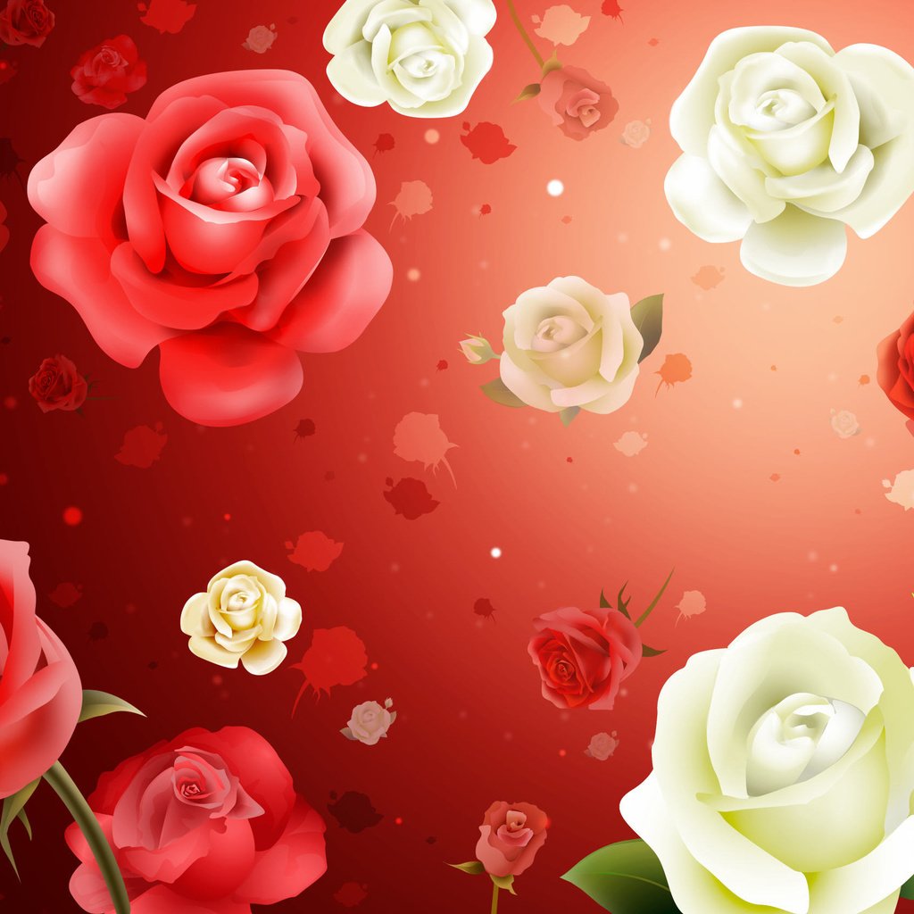 Обои цветы, обои, фон, розы, flowers, wallpaper, background, roses разрешение 2587x1687 Загрузить