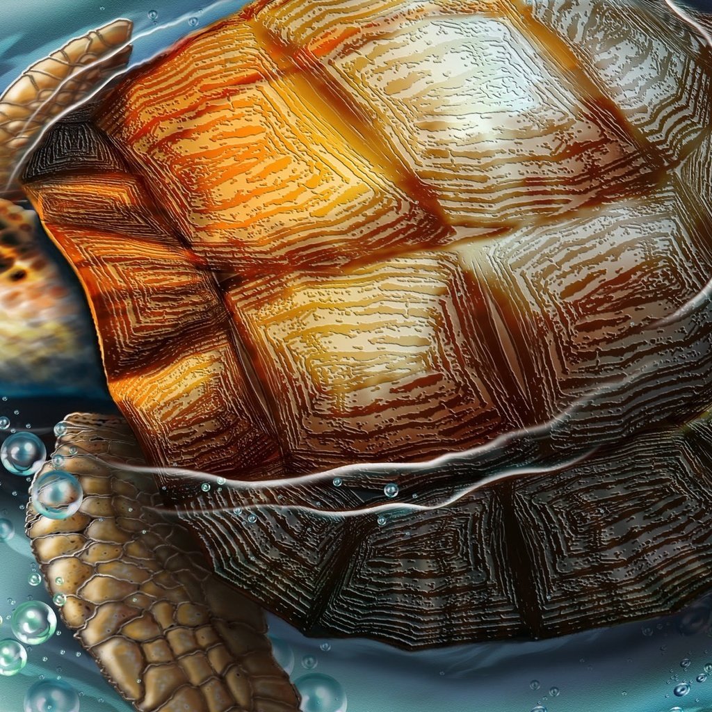 Обои рисунок, вода, черепаха, figure, water, turtle разрешение 1920x1200 Загрузить