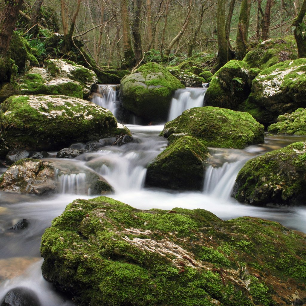 Обои вода, камни, ручей, water, stones, stream разрешение 2560x1600 Загрузить