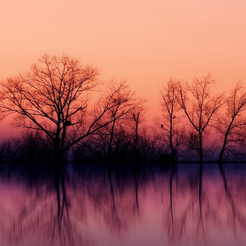 Обои небо, деревья, закат, отражение, силуэт, the sky, trees, sunset, reflection, silhouette разрешение 1920x1200 Загрузить