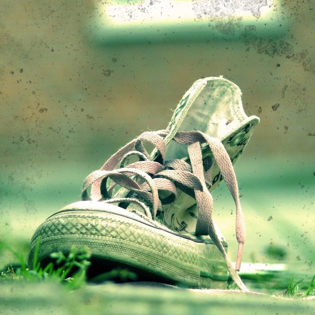 Обои трава, зелёный, кеды, пятна, обувь, шнурки, grass, green, sneakers, spot, shoes, laces разрешение 1920x1200 Загрузить