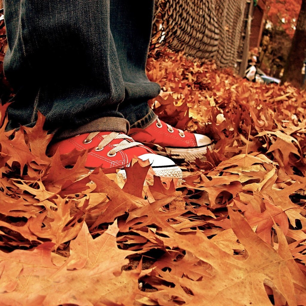 Обои листья, осень, кеды, джинсы, ноги, listya, osen, kedy, осенние листья, leaves, autumn, sneakers, jeans, feet, autumn leaves разрешение 1920x1440 Загрузить