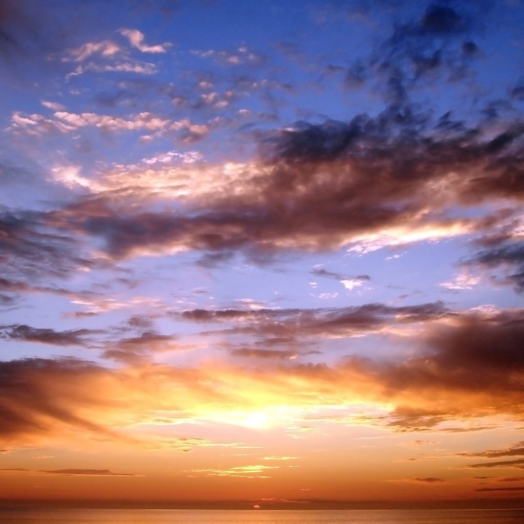 Обои небо, облака, солнце, закат, цвет, the sky, clouds, the sun, sunset, color разрешение 2560x1600 Загрузить