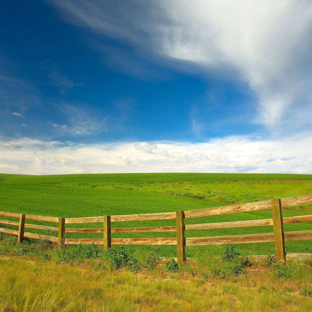 Обои поле, вашингтон, забор, field, washington, the fence разрешение 1920x1080 Загрузить