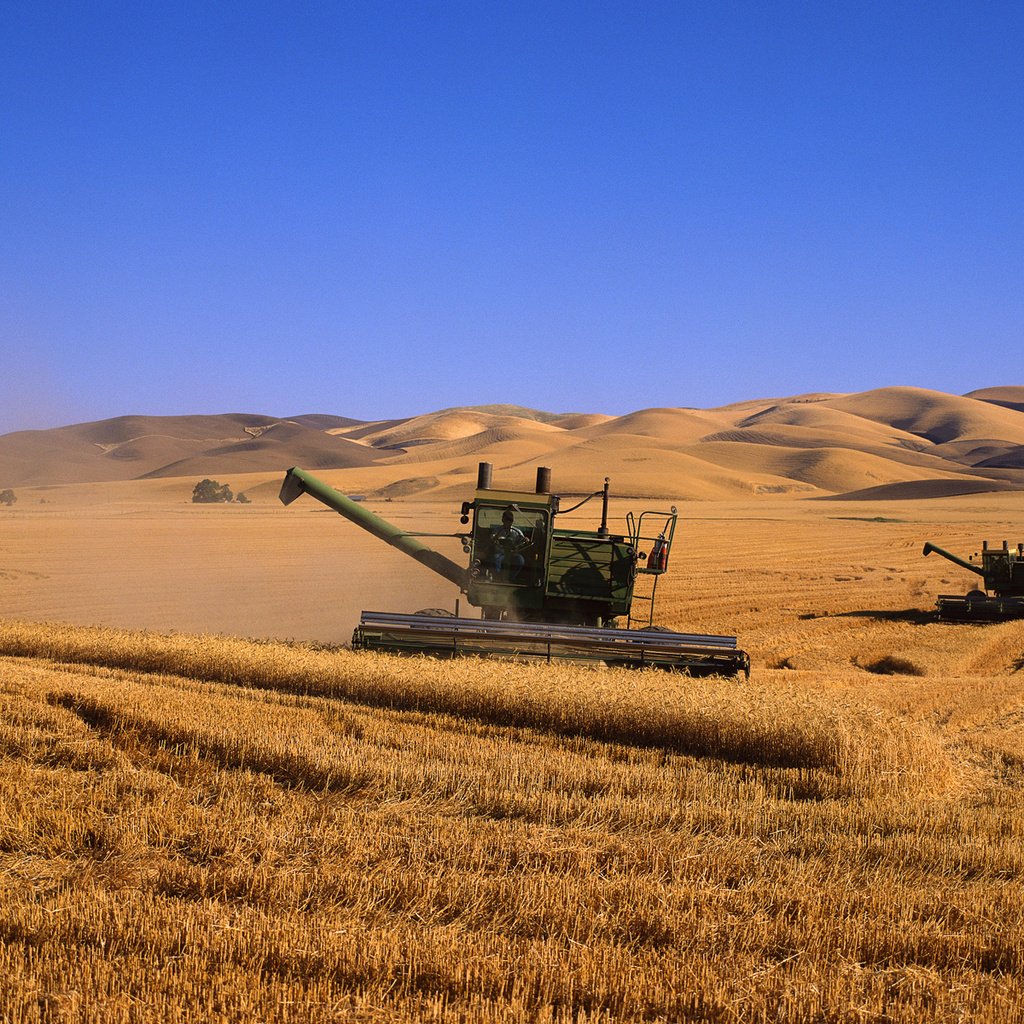 Обои поле, комбаины, пшеница, field, kombain, wheat разрешение 3750x1200 Загрузить
