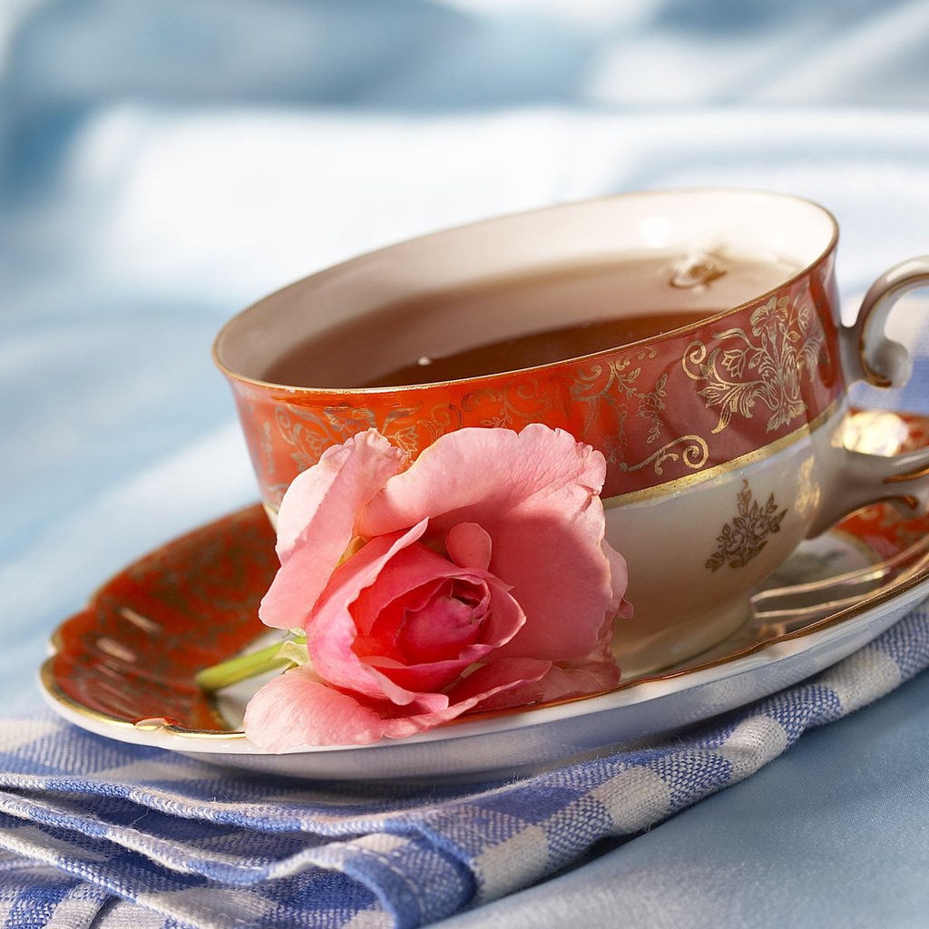 Обои цветок, роза, чашка, чай, салфетка, чаепитие, flower, rose, cup, tea, napkin, the tea party разрешение 1920x1200 Загрузить