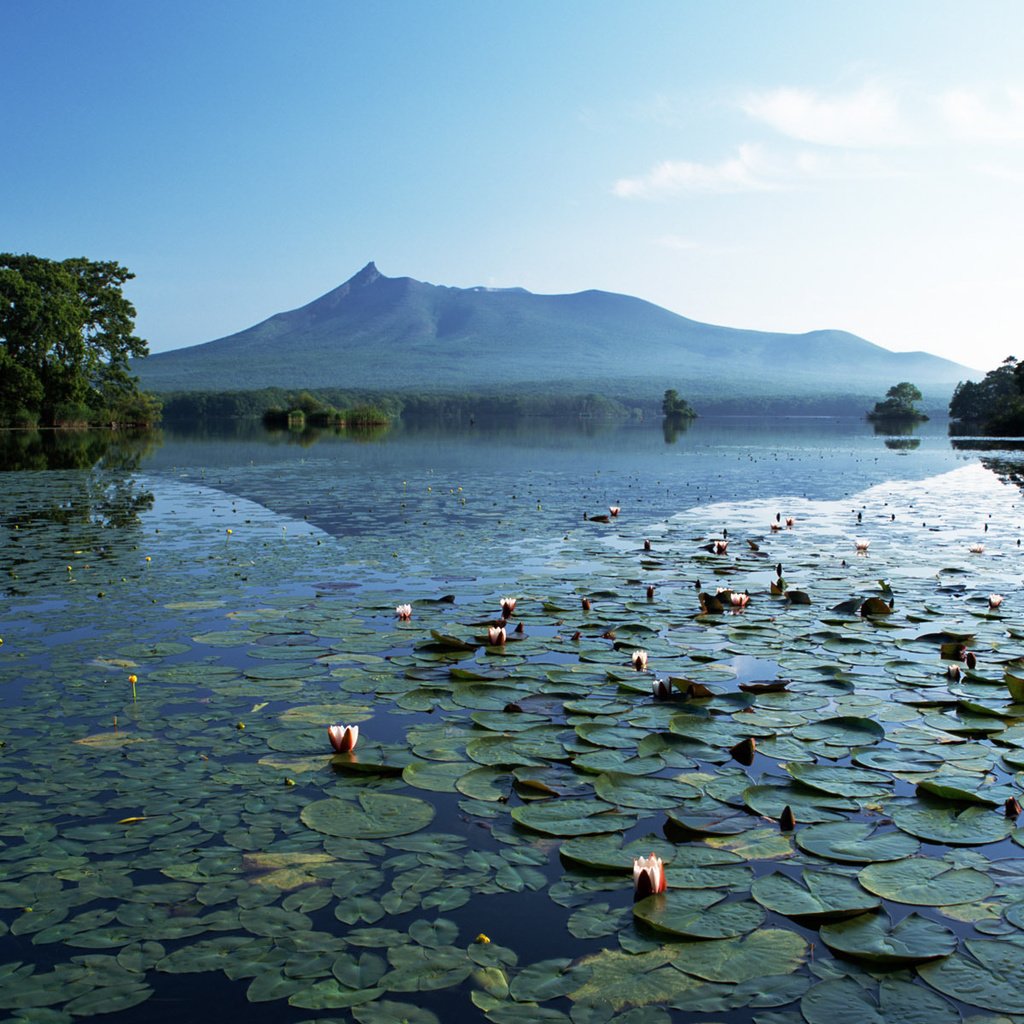 Обои озеро, горы, тишина, лилии, lake, mountains, silence, lily разрешение 1920x1200 Загрузить